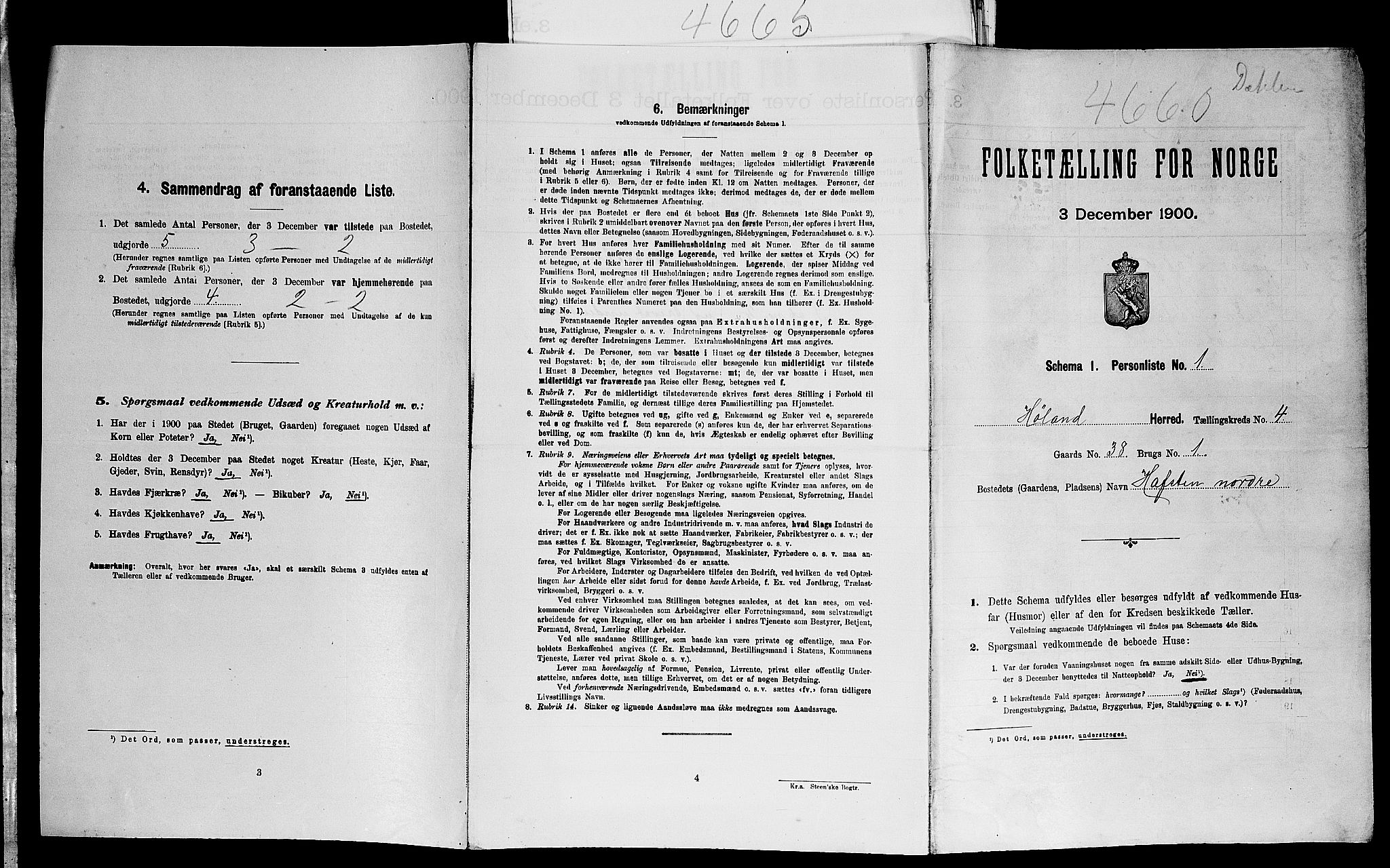 SAO, 1900 census for Høland, 1900