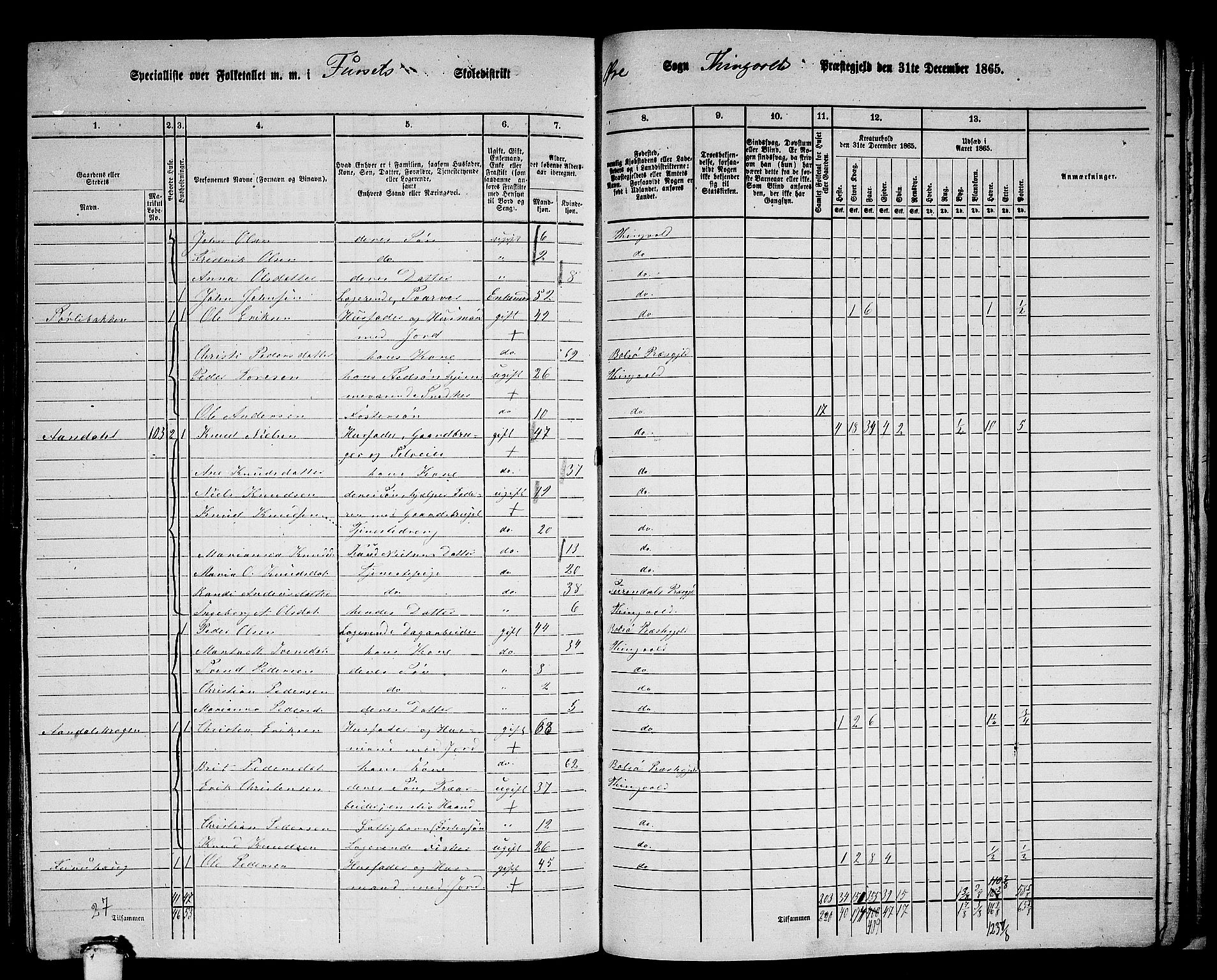 RA, 1865 census for Tingvoll, 1865, p. 217