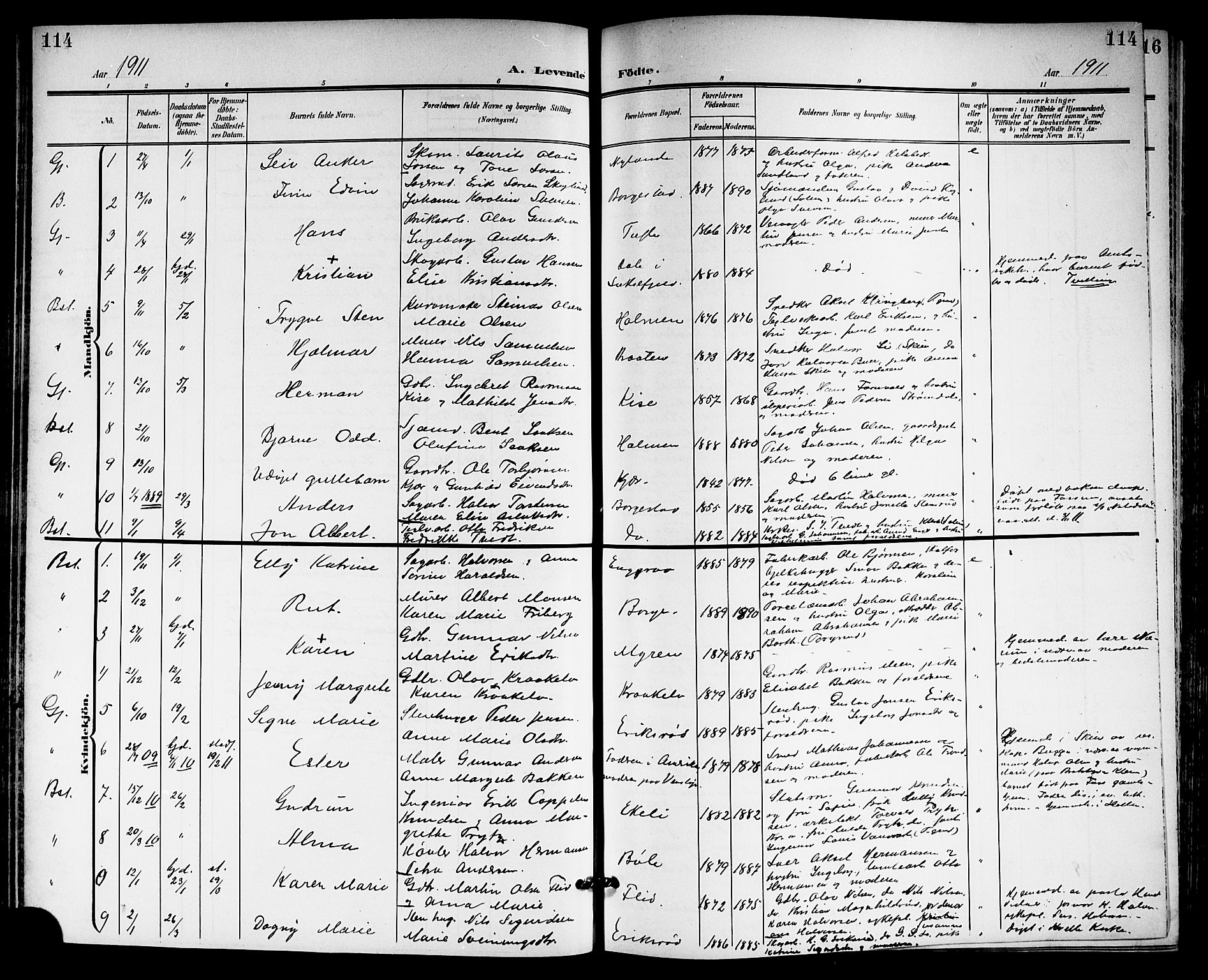Gjerpen kirkebøker, SAKO/A-265/G/Ga/L0003: Parish register (copy) no. I 3, 1901-1919, p. 114