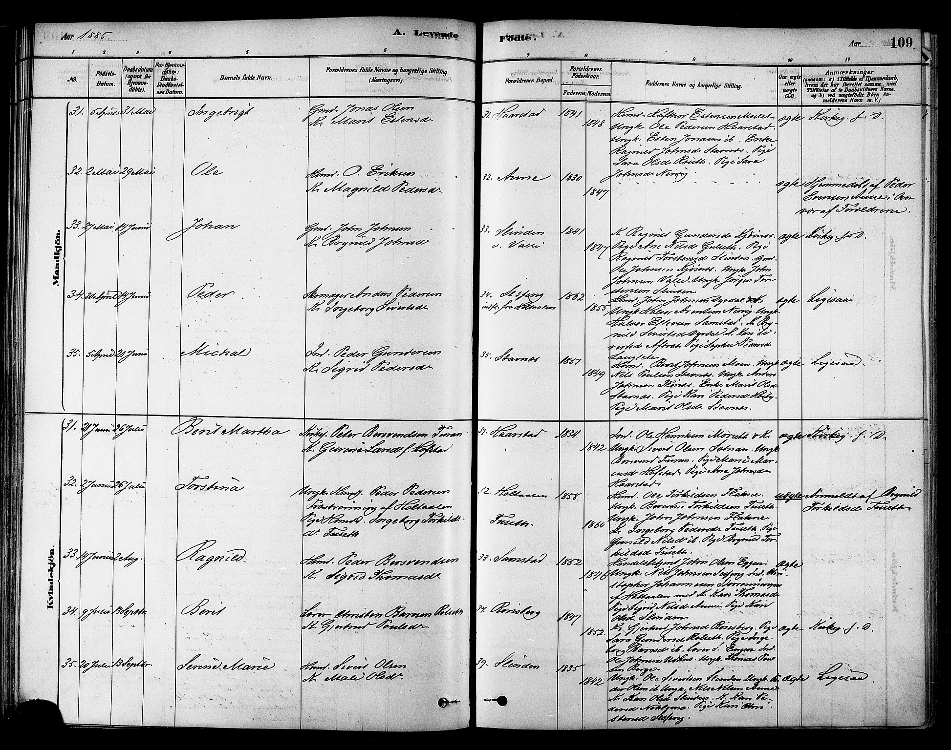 Ministerialprotokoller, klokkerbøker og fødselsregistre - Sør-Trøndelag, AV/SAT-A-1456/695/L1148: Parish register (official) no. 695A08, 1878-1891, p. 109