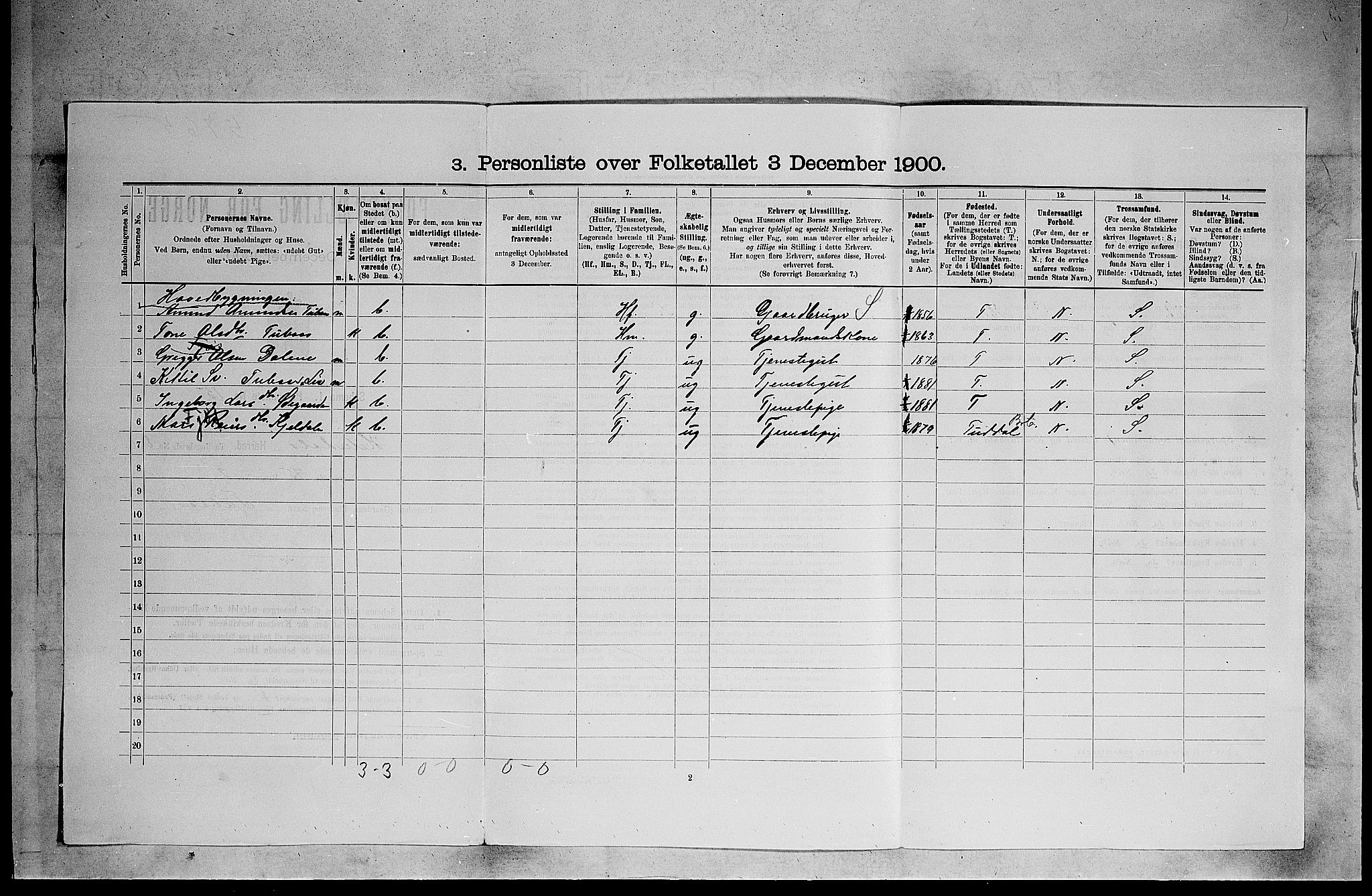 SAKO, 1900 census for Heddal, 1900, p. 1064