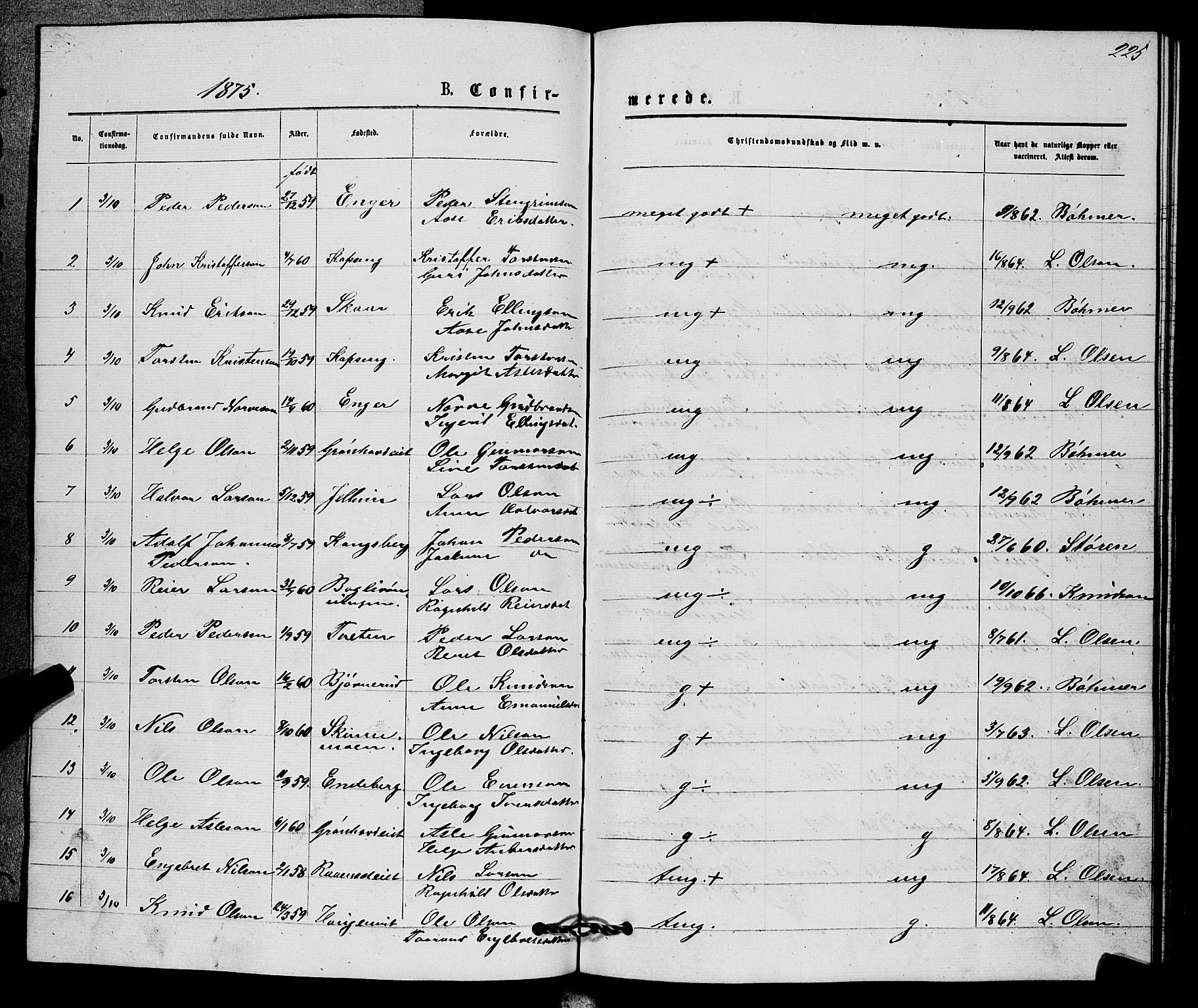 Sigdal kirkebøker, SAKO/A-245/G/Gb/L0002: Parish register (copy) no. II 2, 1875-1900, p. 225