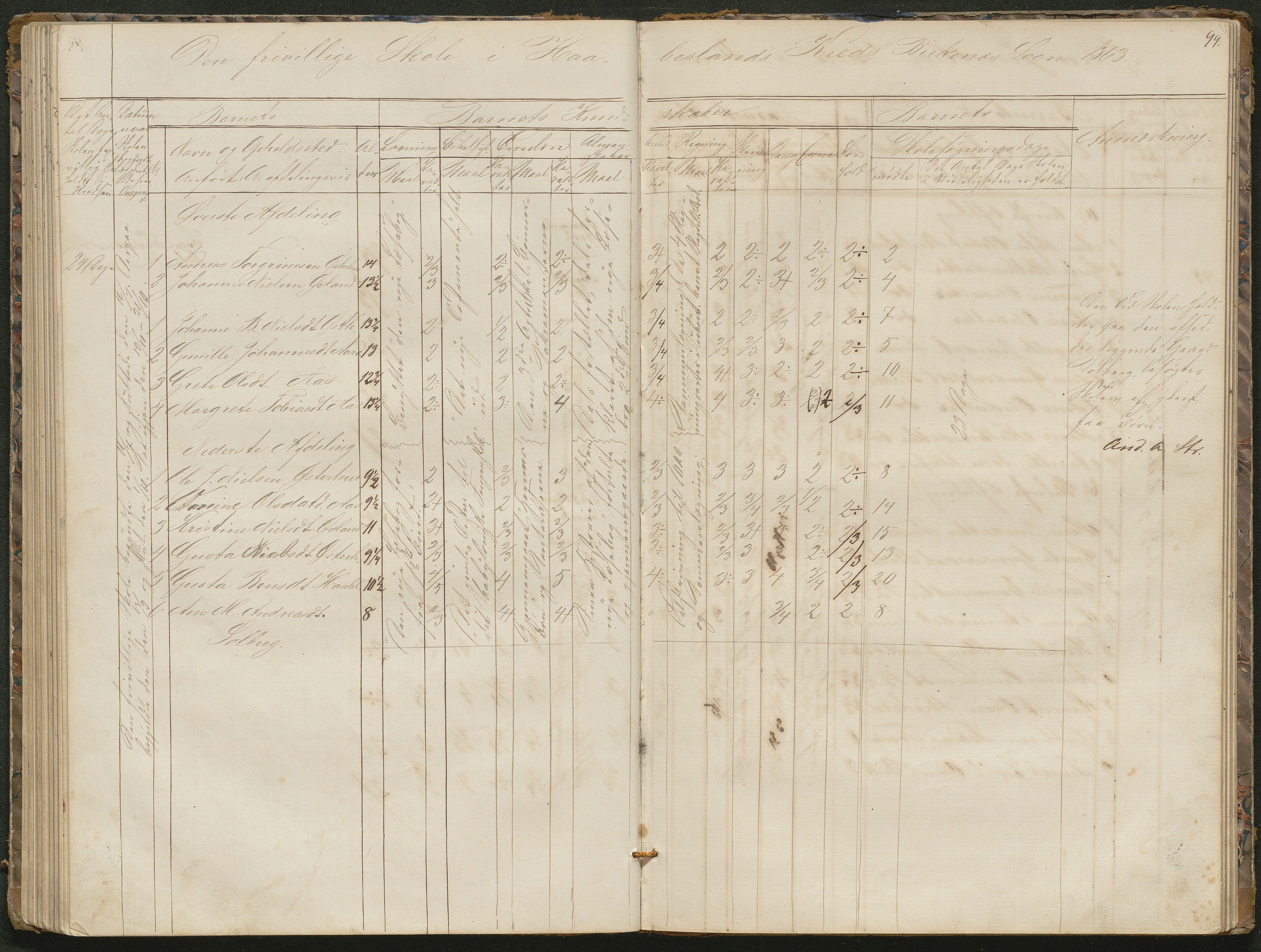 Birkenes kommune, Birkenes krets/Birkeland folkeskole frem til 1991, AAKS/KA0928-550a_91/F02/L0001: Skoleprotokoll, 1862-1896, p. 99