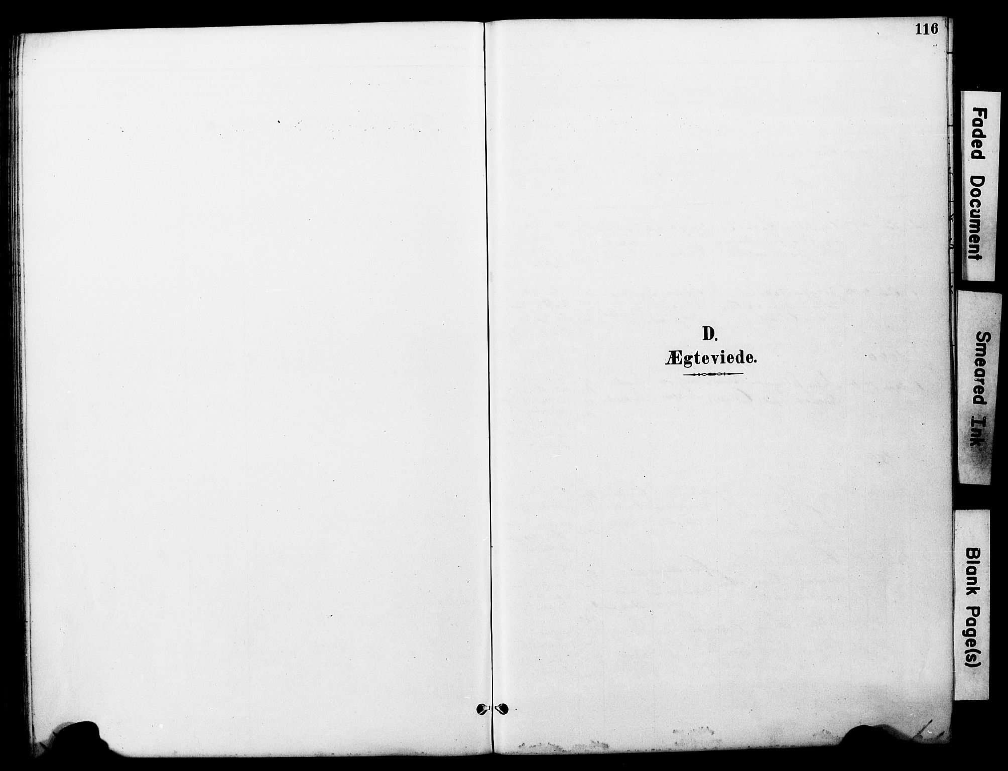 Ministerialprotokoller, klokkerbøker og fødselsregistre - Nord-Trøndelag, SAT/A-1458/722/L0226: Parish register (copy) no. 722C02, 1889-1927, p. 116