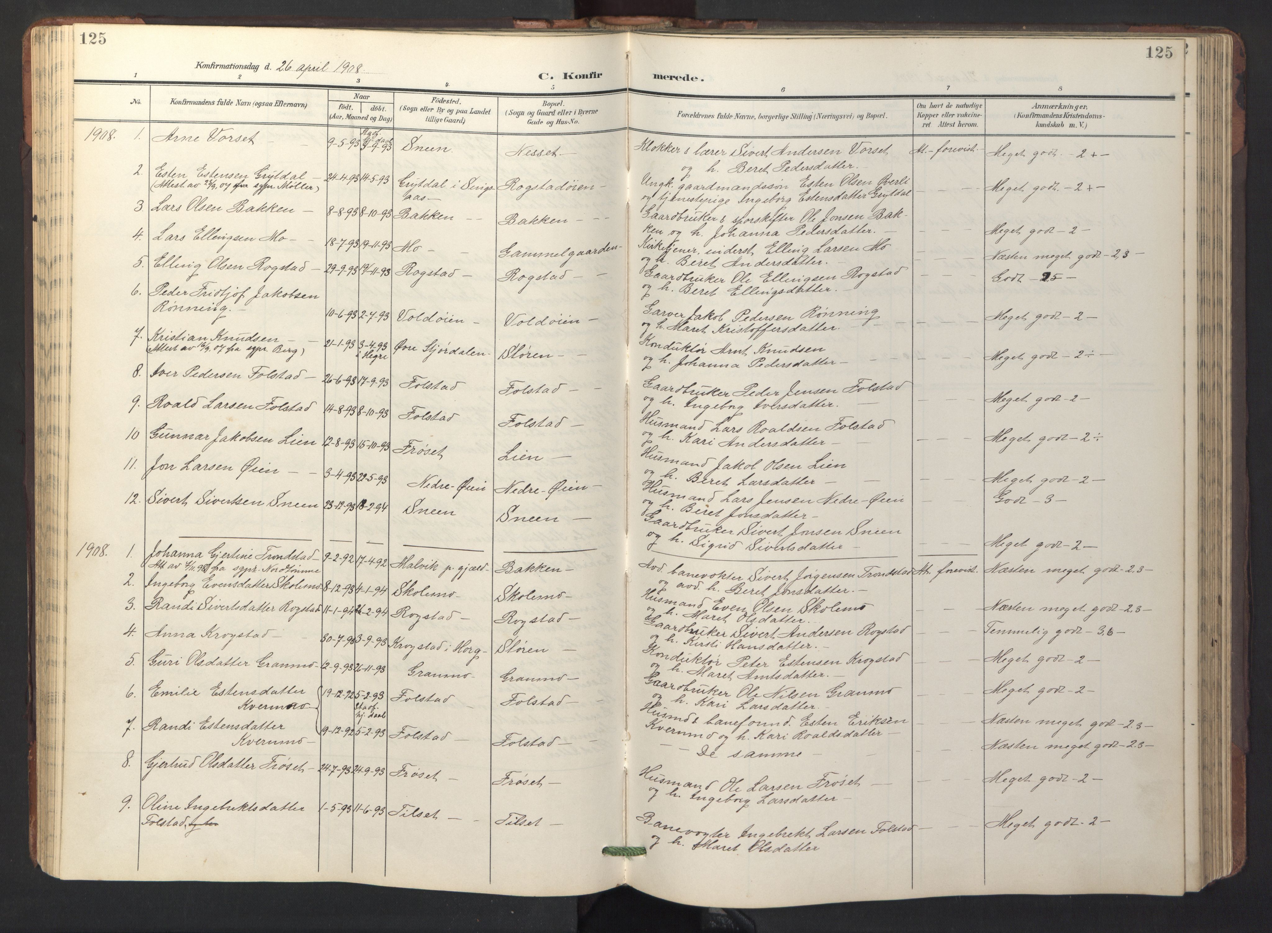 Ministerialprotokoller, klokkerbøker og fødselsregistre - Sør-Trøndelag, SAT/A-1456/687/L1019: Parish register (copy) no. 687C03, 1904-1931, p. 125