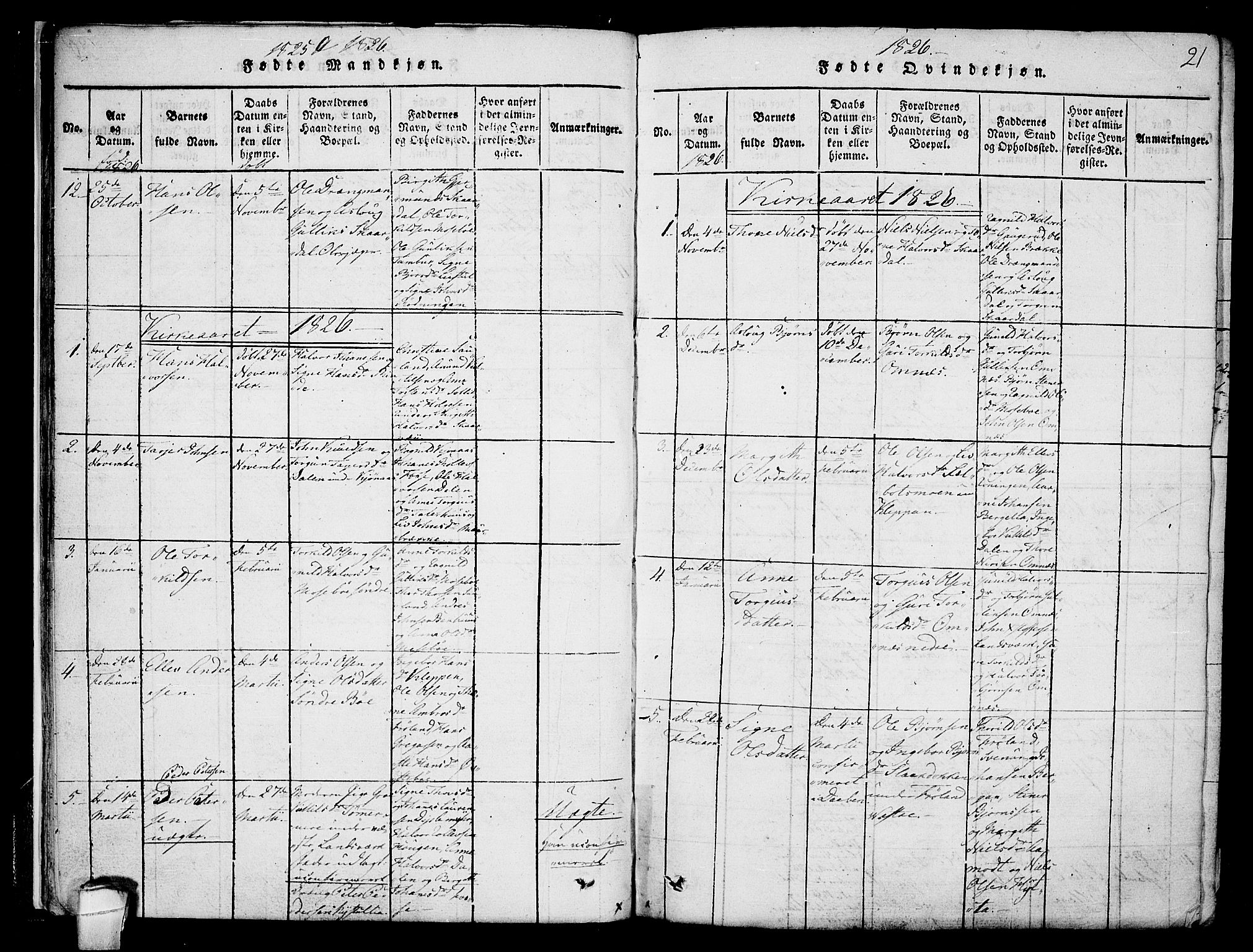 Hjartdal kirkebøker, SAKO/A-270/F/Fb/L0001: Parish register (official) no. II 1, 1815-1843, p. 21