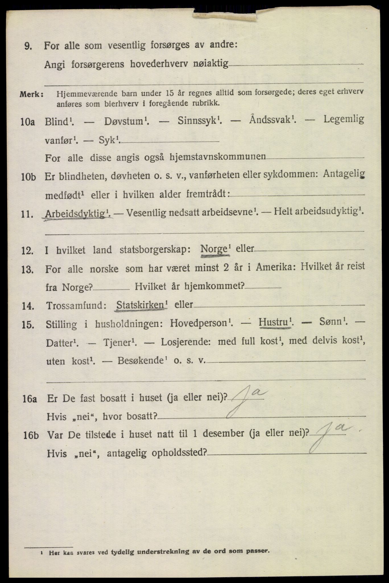 SAH, 1920 census for Tynset, 1920, p. 10155