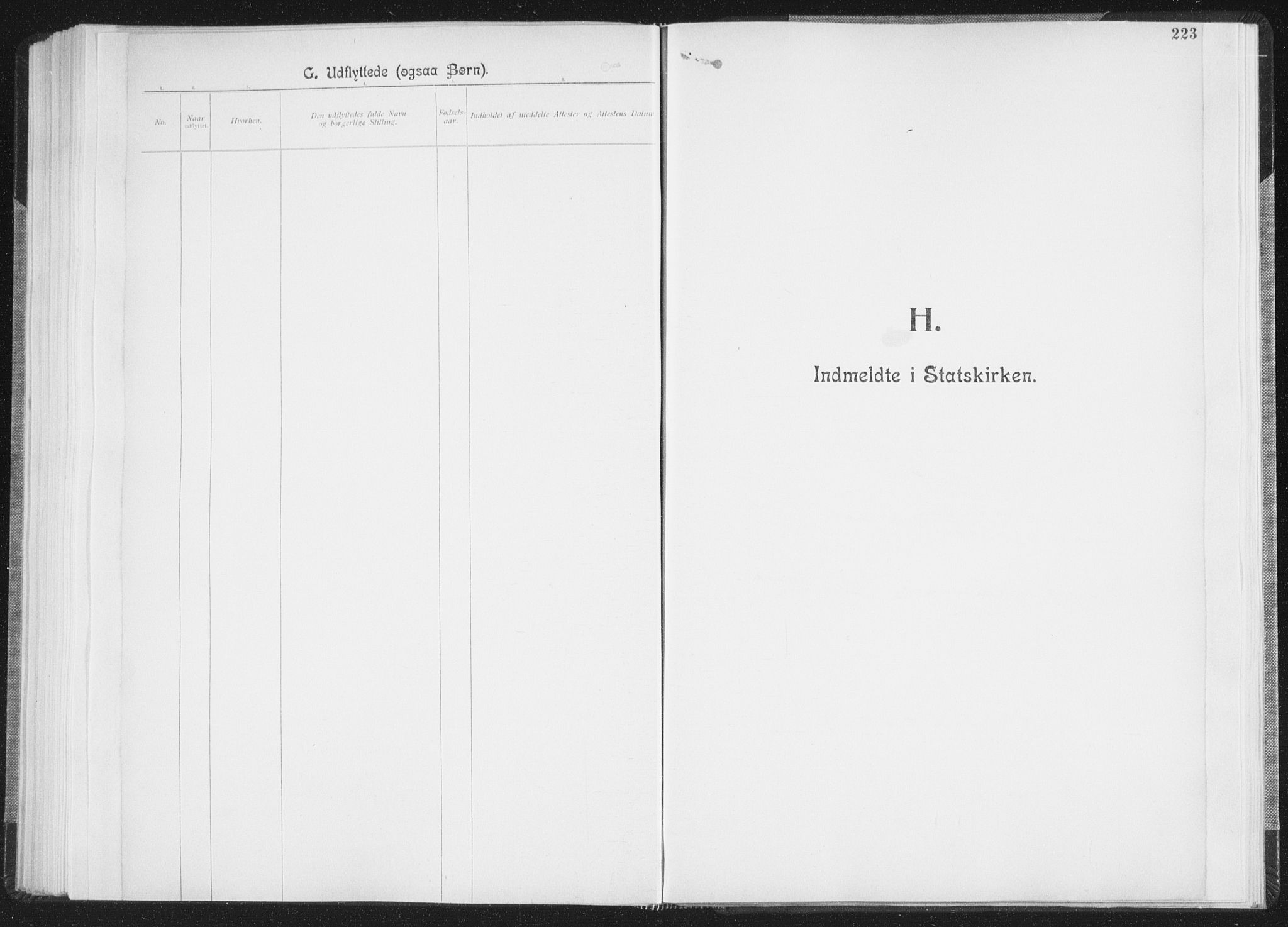 Ministerialprotokoller, klokkerbøker og fødselsregistre - Nordland, SAT/A-1459/850/L0711: Curate's parish register no. 850B01, 1902-1915, p. 223