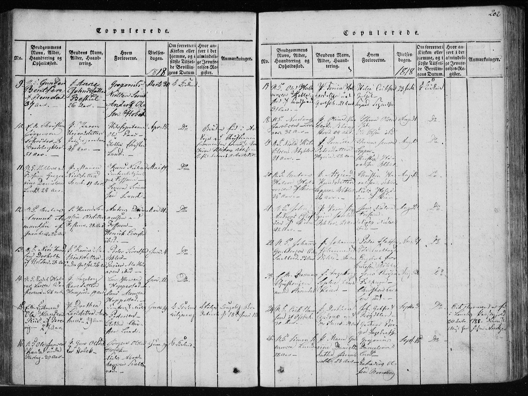 Gjerpen kirkebøker, SAKO/A-265/F/Fa/L0004: Parish register (official) no. I 4, 1814-1823, p. 202
