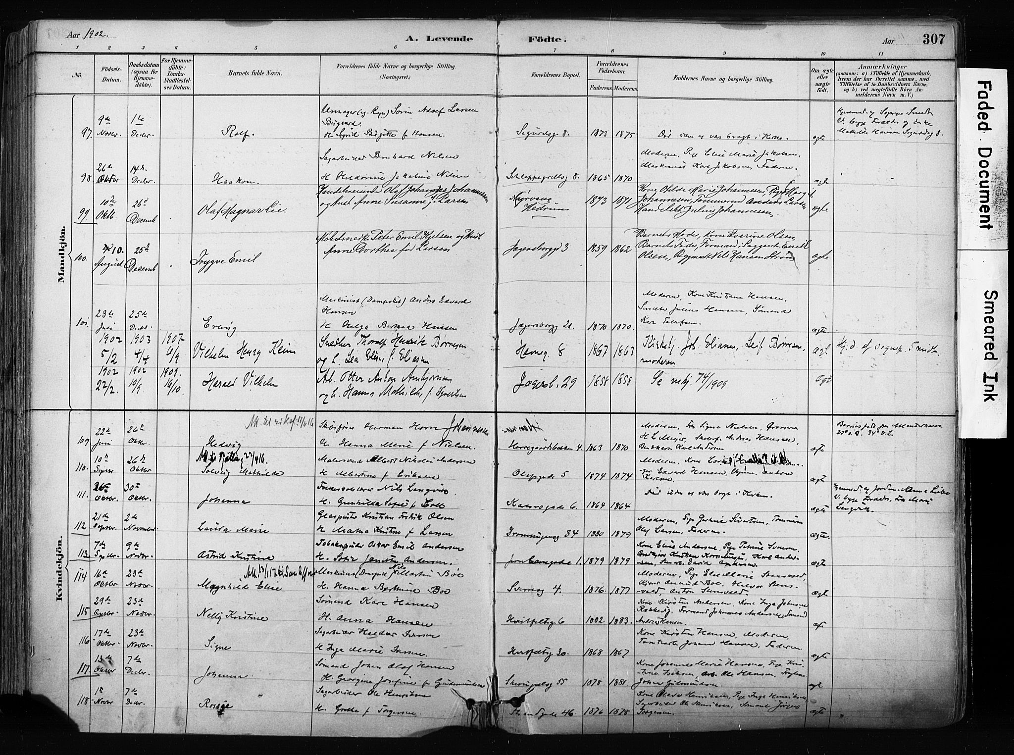 Larvik kirkebøker, AV/SAKO-A-352/F/Fa/L0009: Parish register (official) no. I 9, 1884-1904, p. 307