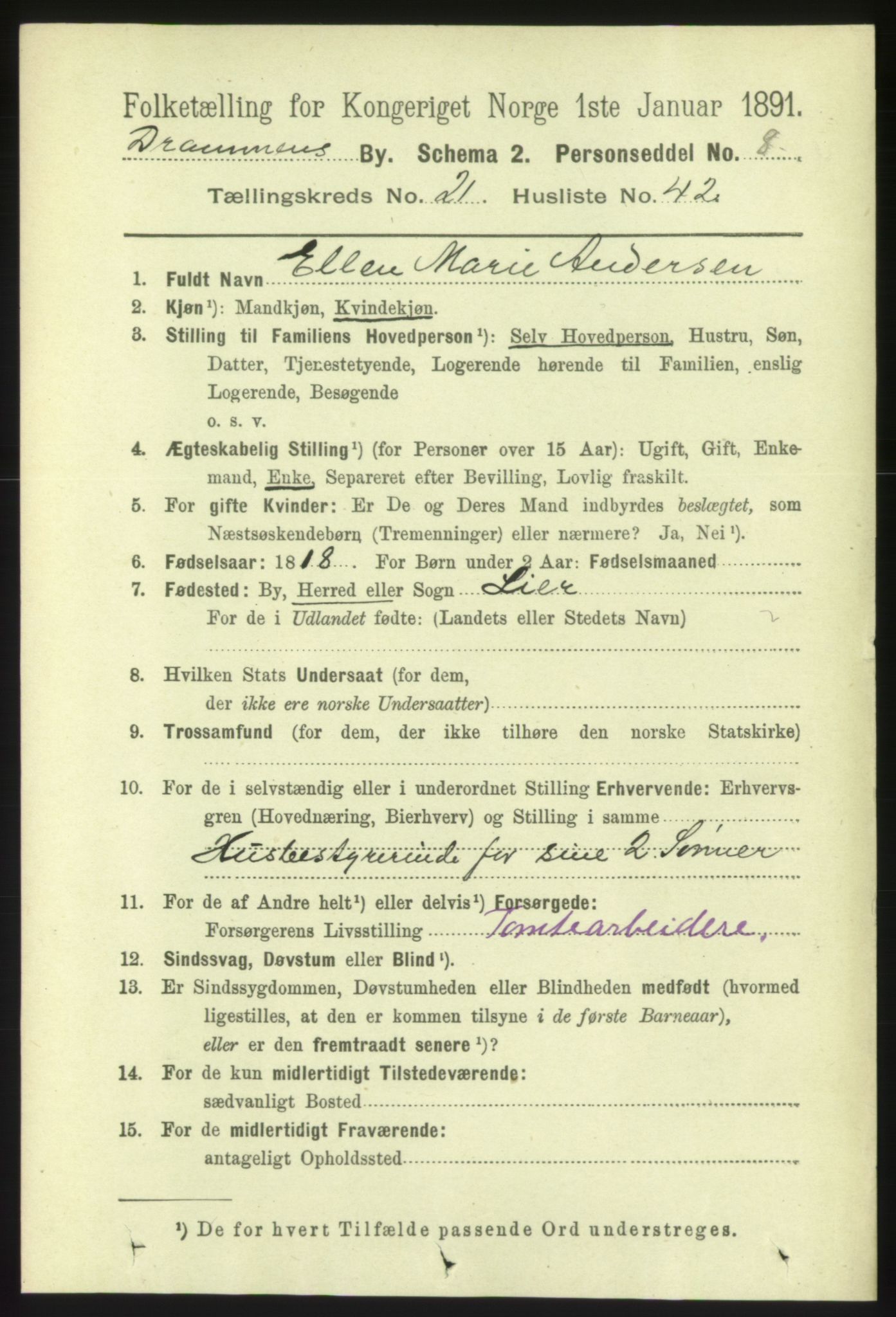 RA, 1891 census for 0602 Drammen, 1891, p. 13545