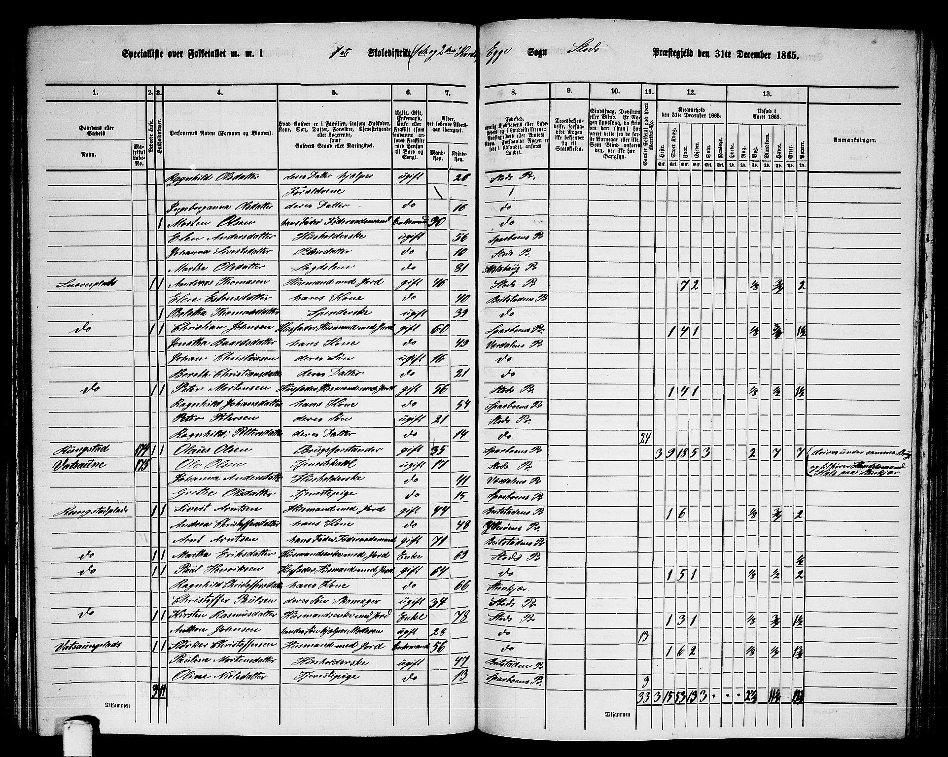 RA, 1865 census for Stod, 1865, p. 136