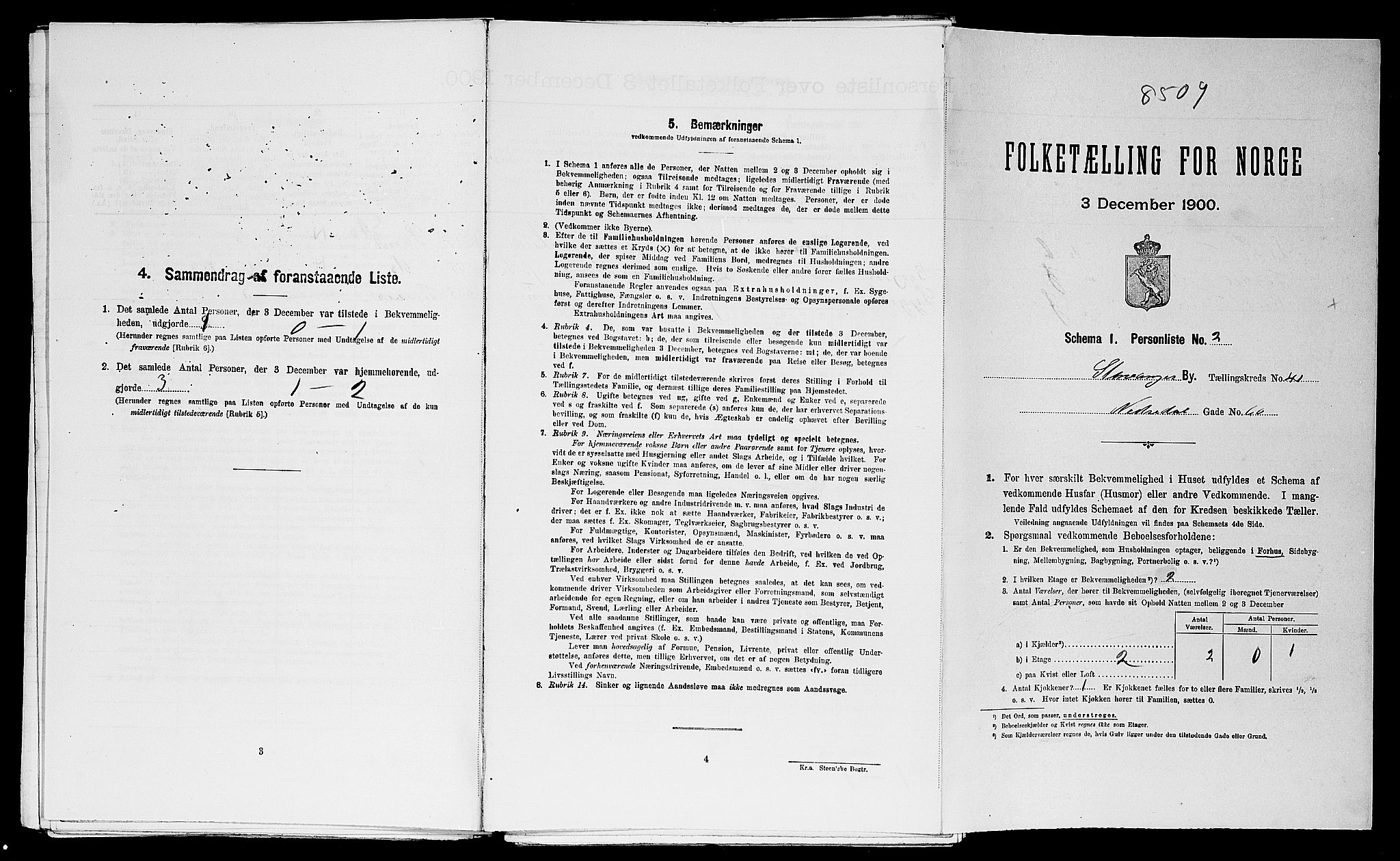 SAST, 1900 census for Stavanger, 1900, p. 15015