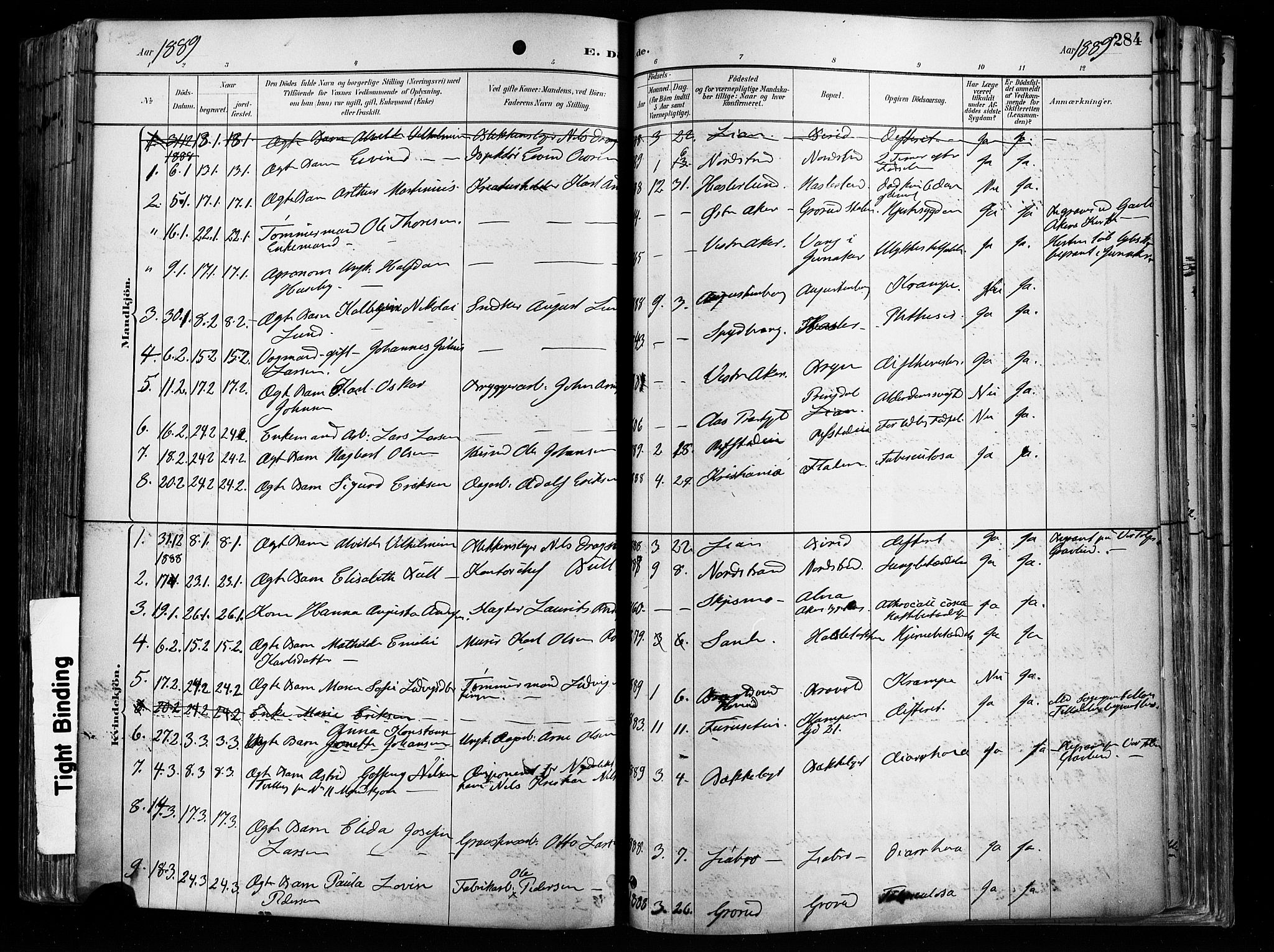 Østre Aker prestekontor Kirkebøker, AV/SAO-A-10840/F/Fa/L0008: Parish register (official) no. I 8, 1883-1894, p. 284