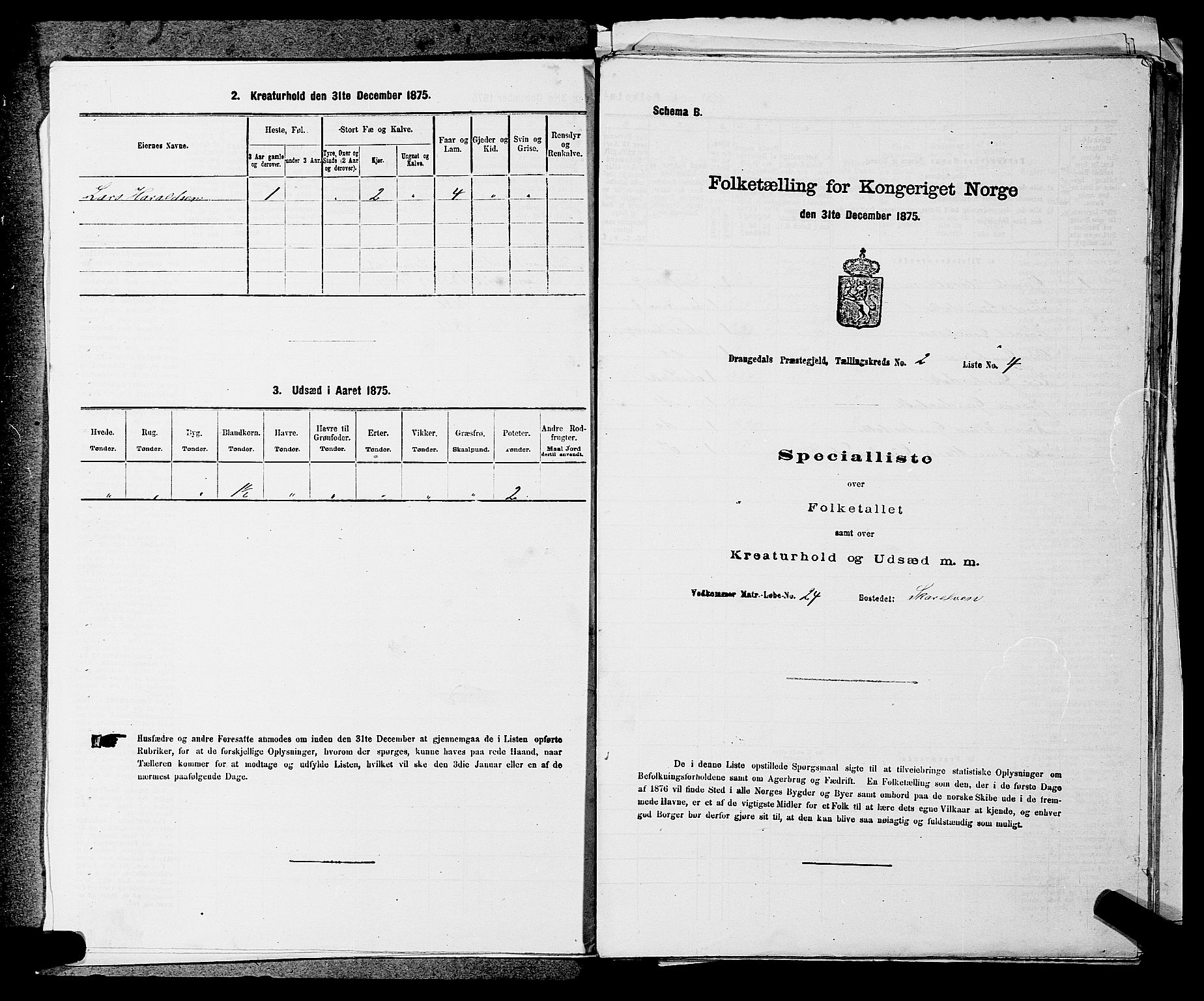 SAKO, 1875 census for 0817P Drangedal, 1875, p. 238