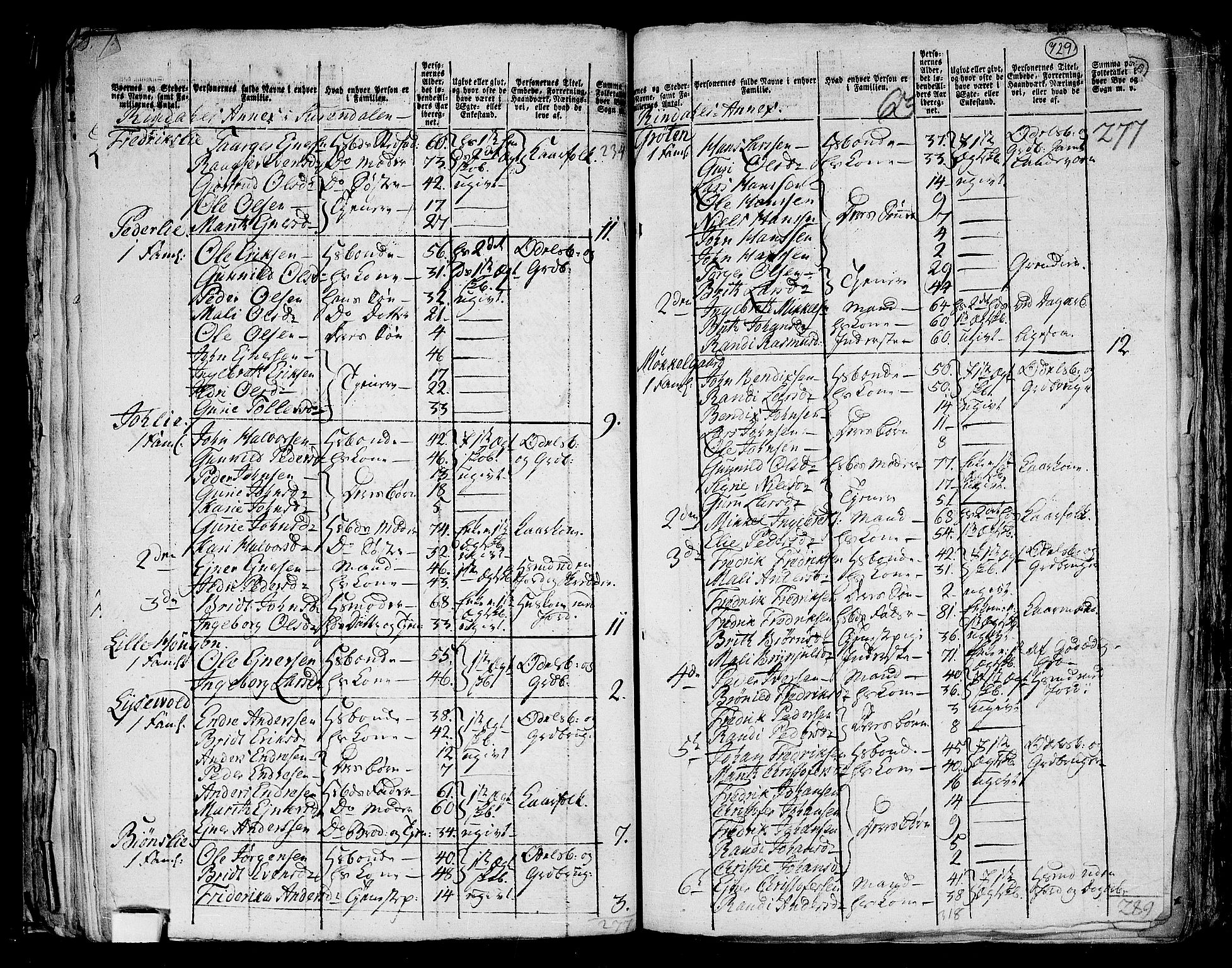 RA, 1801 census for 1566P Surnadal, 1801, p. 728b-729a
