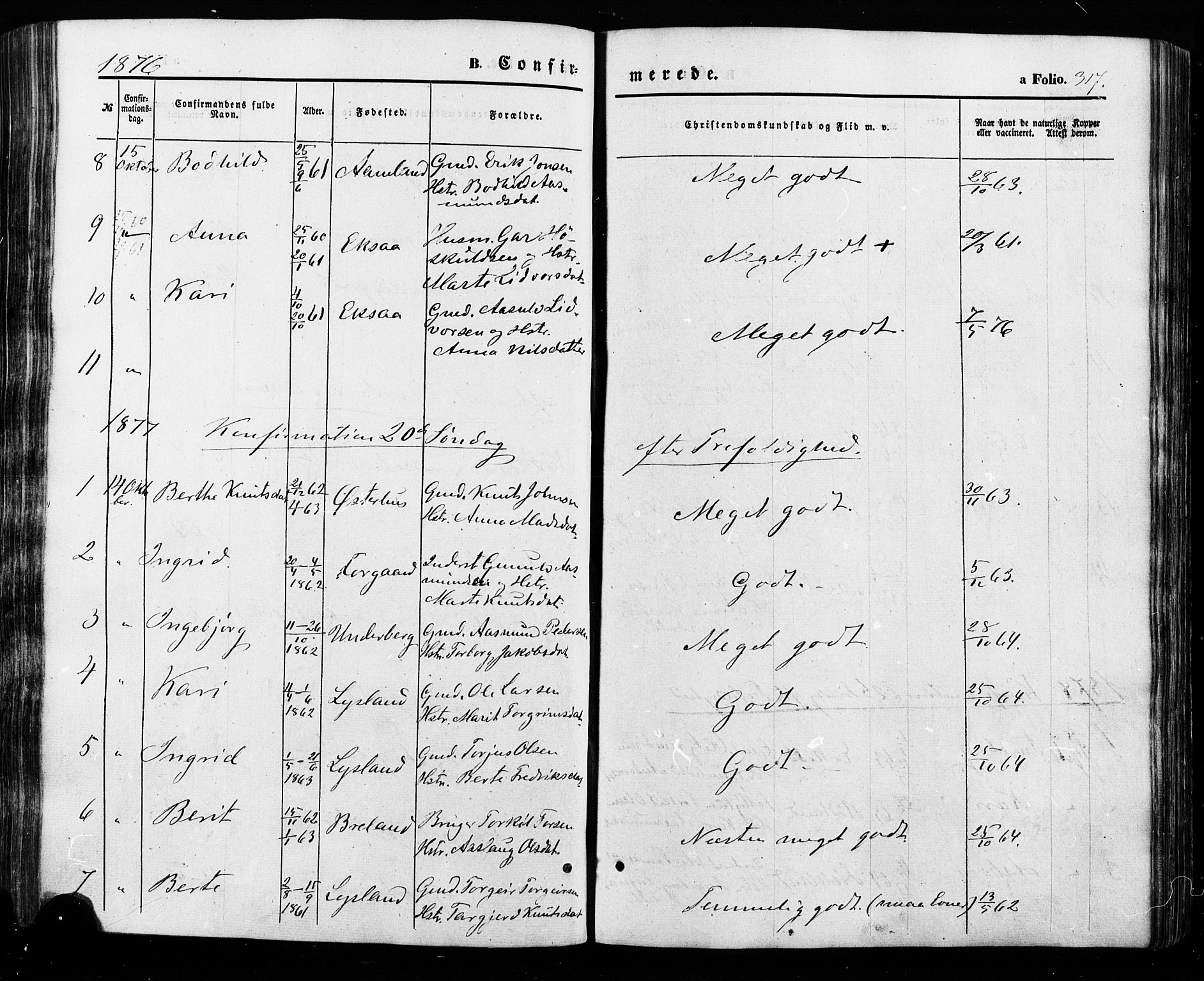 Åseral sokneprestkontor, SAK/1111-0051/F/Fa/L0002: Parish register (official) no. A 2, 1854-1884, p. 317