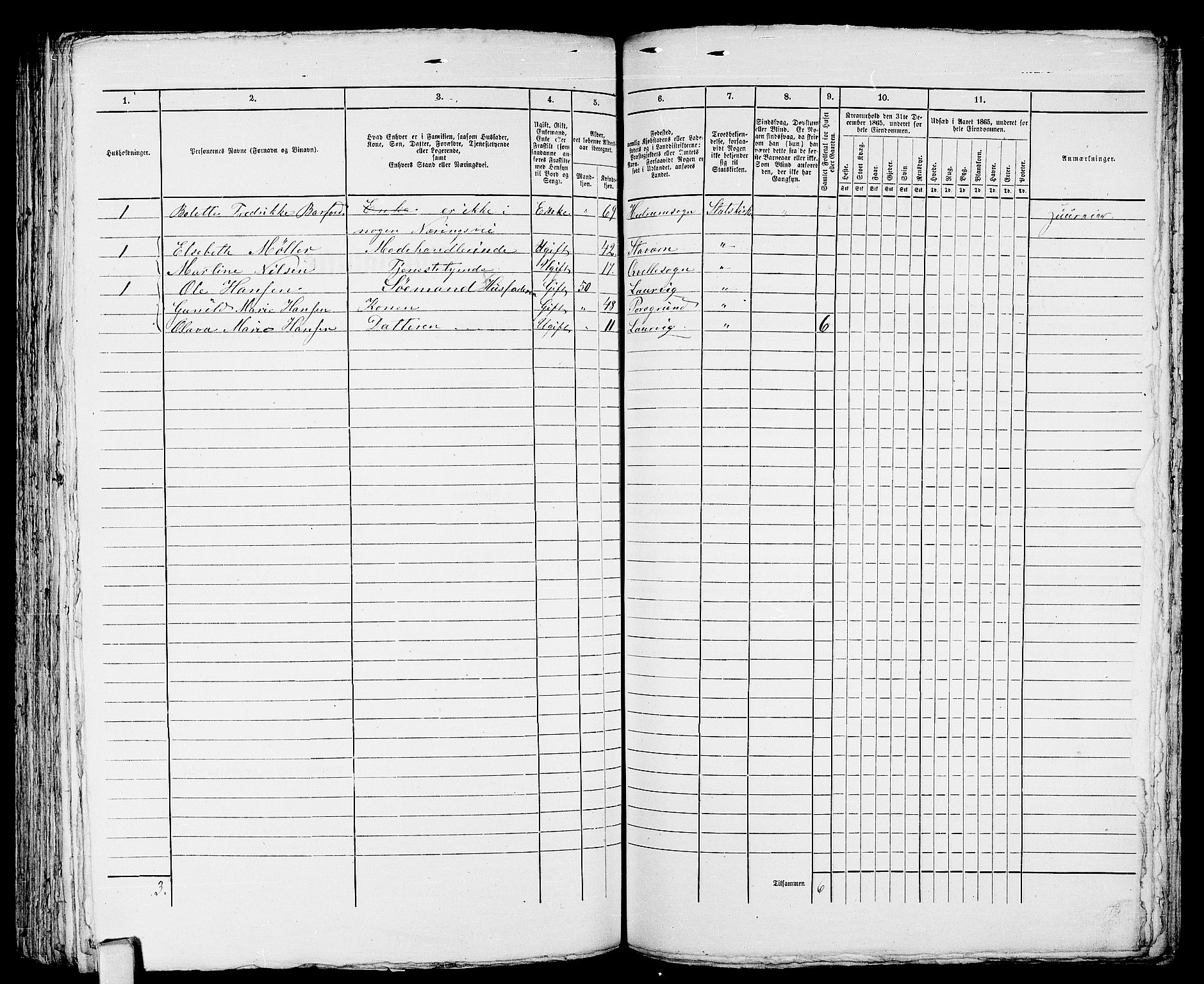 RA, 1865 census for Larvik, 1865, p. 466