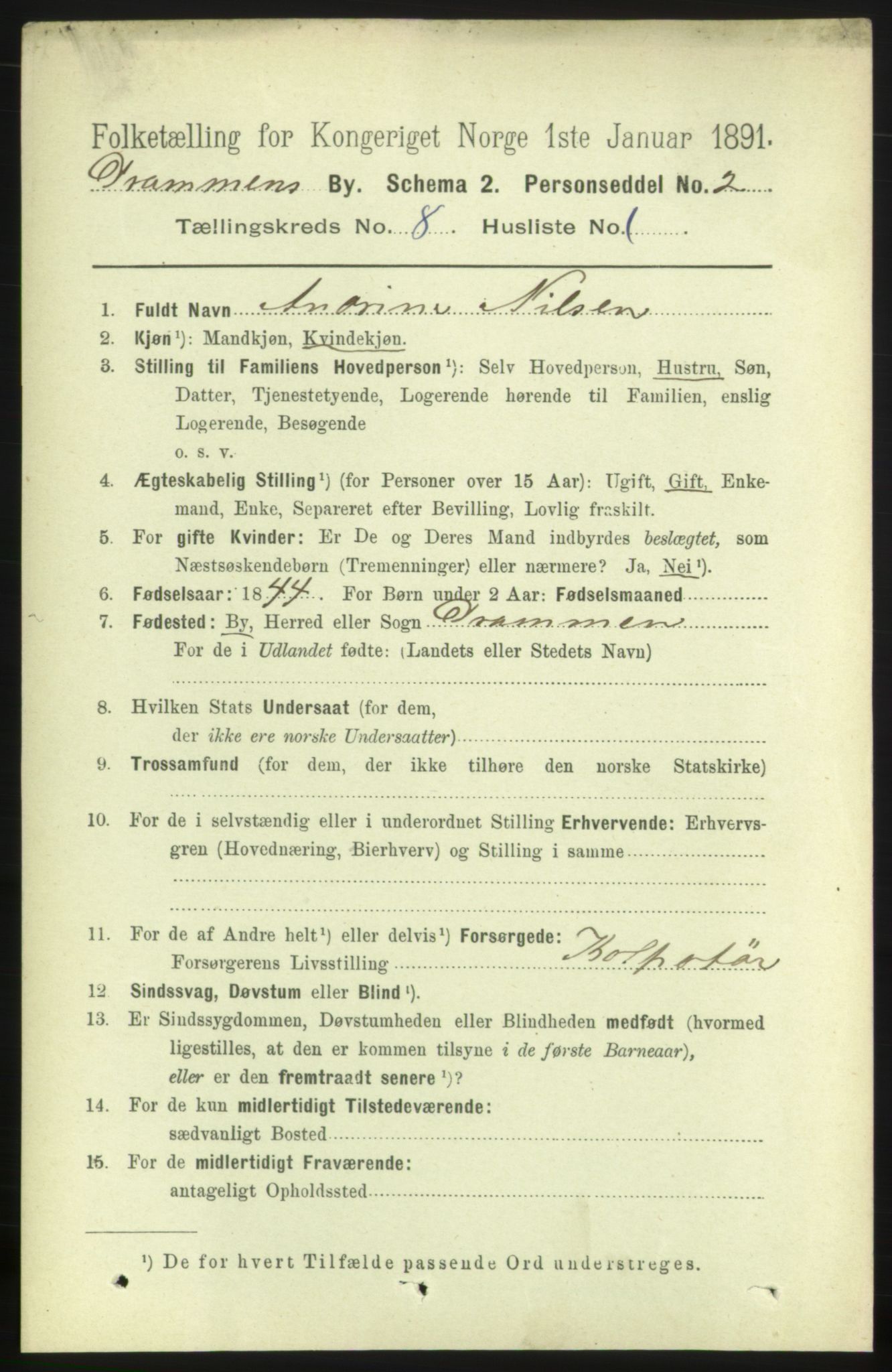 RA, 1891 census for 0602 Drammen, 1891, p. 6774