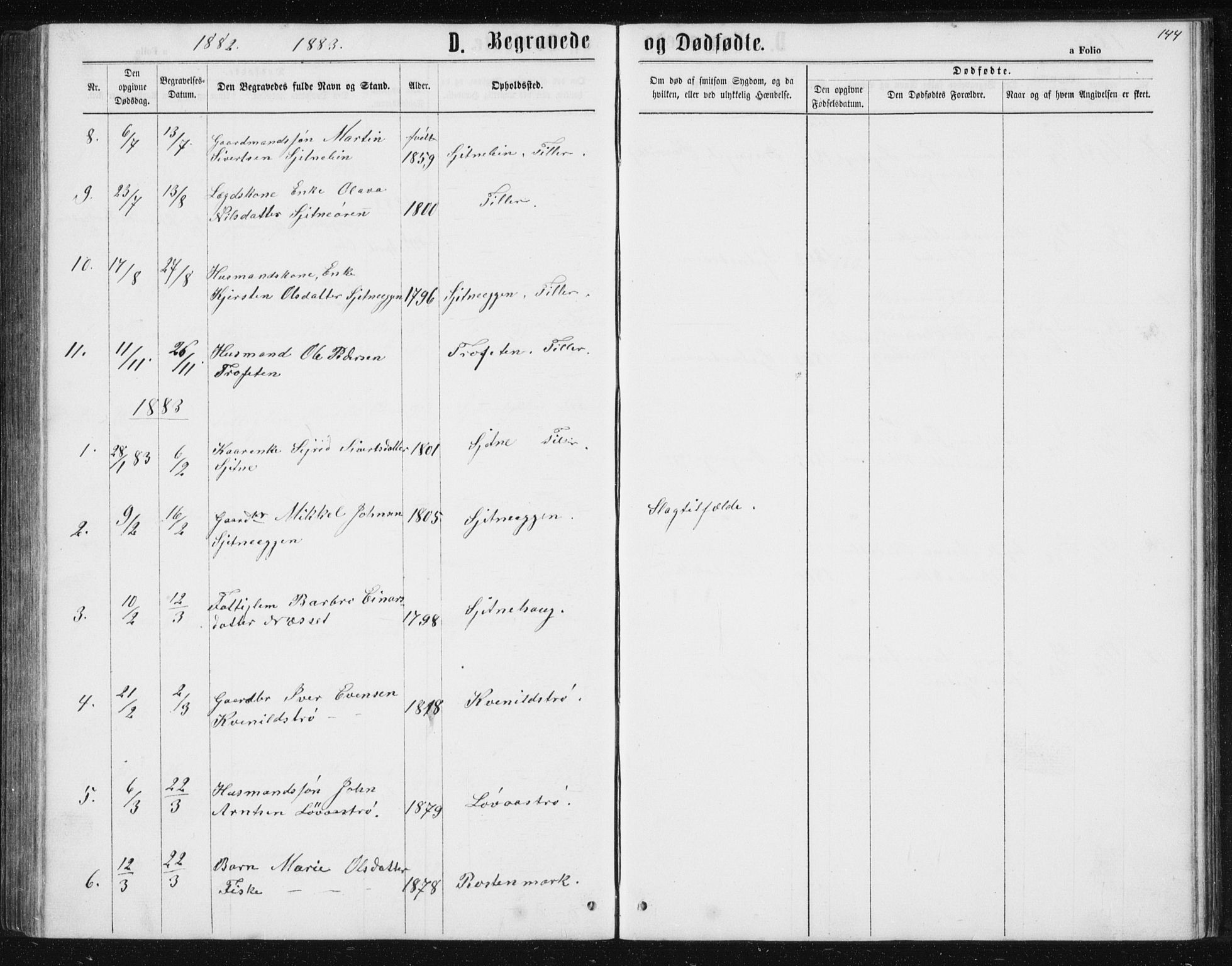 Ministerialprotokoller, klokkerbøker og fødselsregistre - Sør-Trøndelag, SAT/A-1456/621/L0459: Parish register (copy) no. 621C02, 1866-1895, p. 144