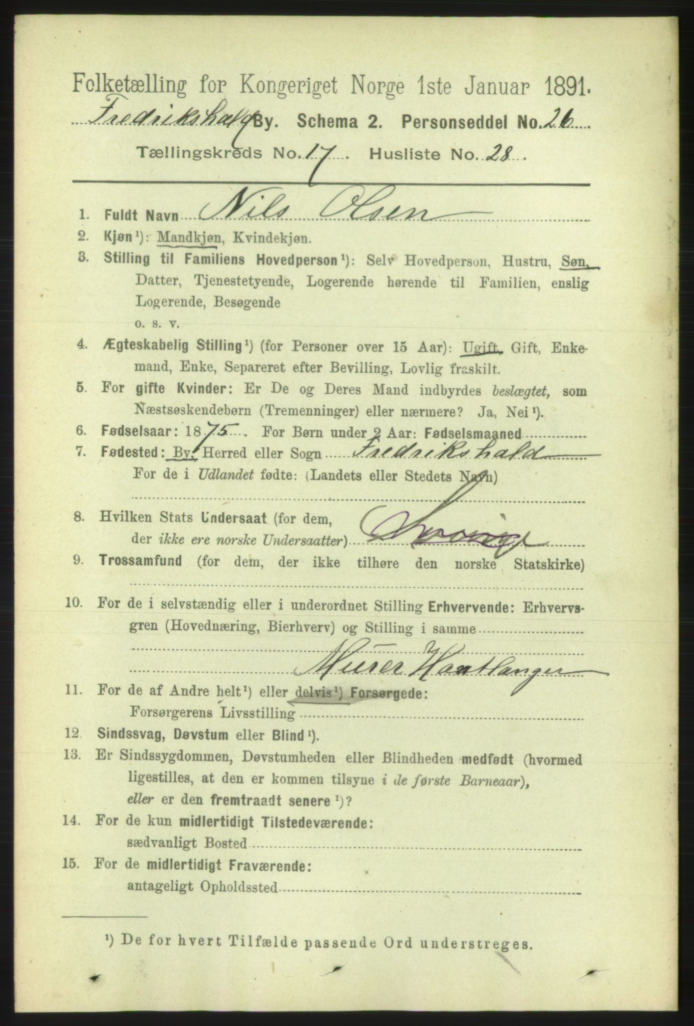 RA, 1891 census for 0101 Fredrikshald, 1891, p. 11339