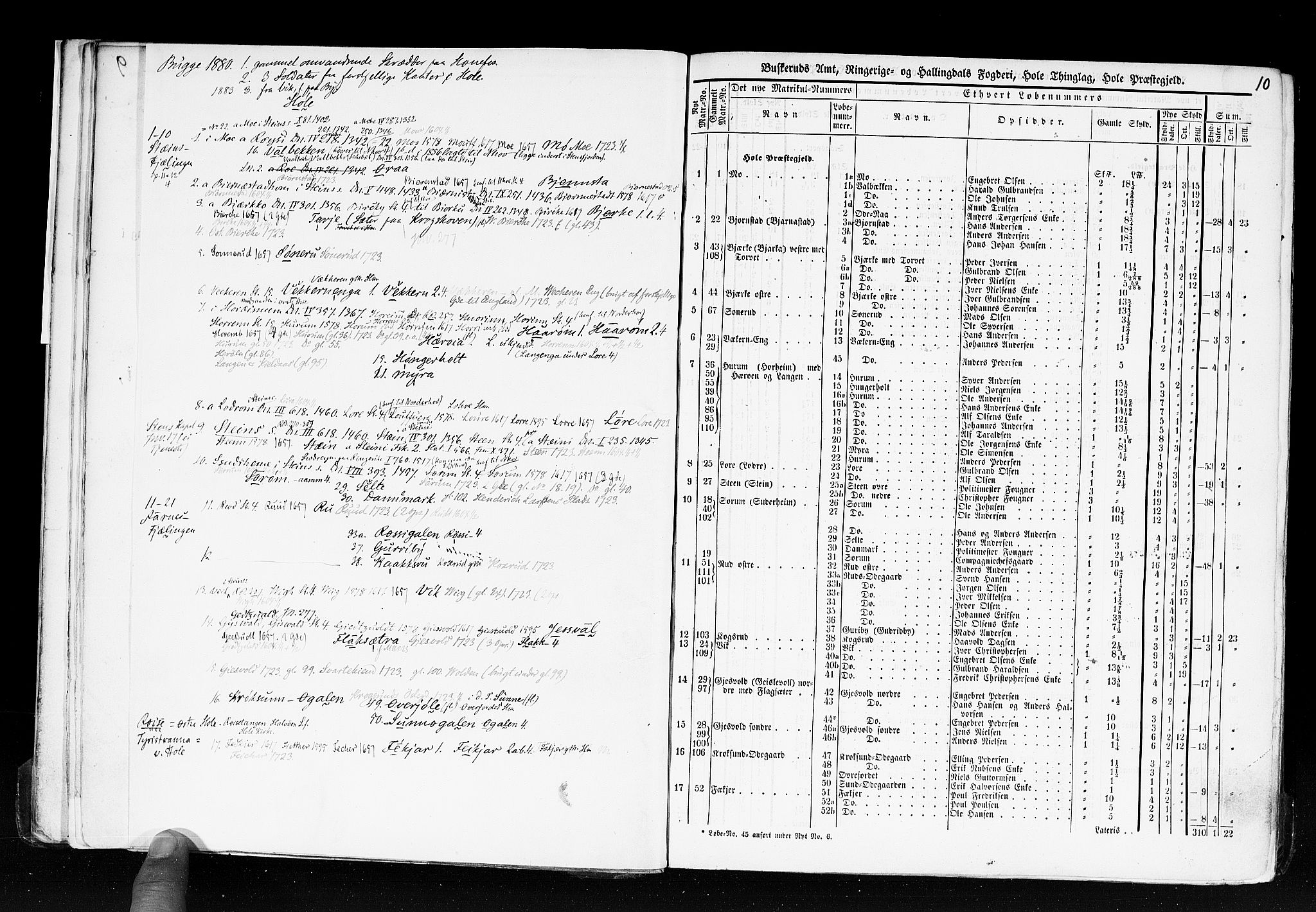 Rygh, AV/RA-PA-0034/F/Fb/L0005: Matrikkelen for 1838 - Buskerud amt (Buskerud fylke), 1838, p. 10a