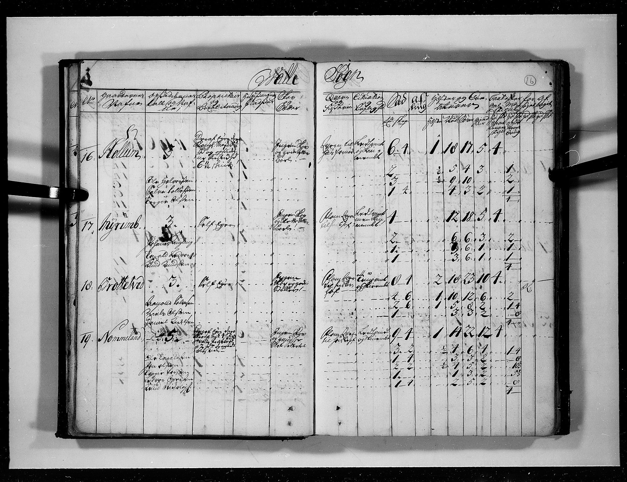 Rentekammeret inntil 1814, Realistisk ordnet avdeling, AV/RA-EA-4070/N/Nb/Nbf/L0125: Råbyggelag eksaminasjonsprotokoll, 1723, p. 15b-16a