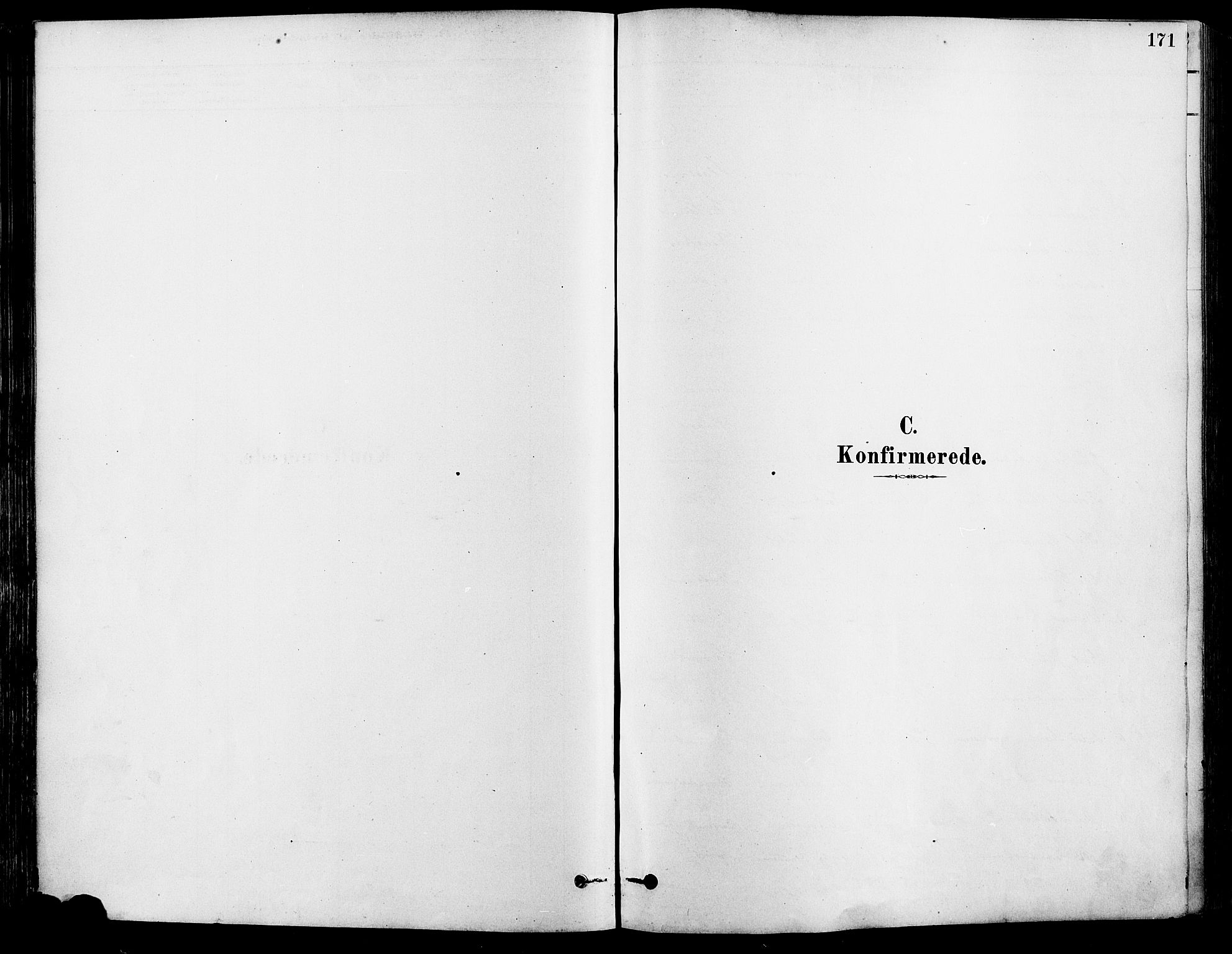 Eidskog prestekontor, SAH/PREST-026/H/Ha/Haa/L0003: Parish register (official) no. 3, 1879-1892, p. 171