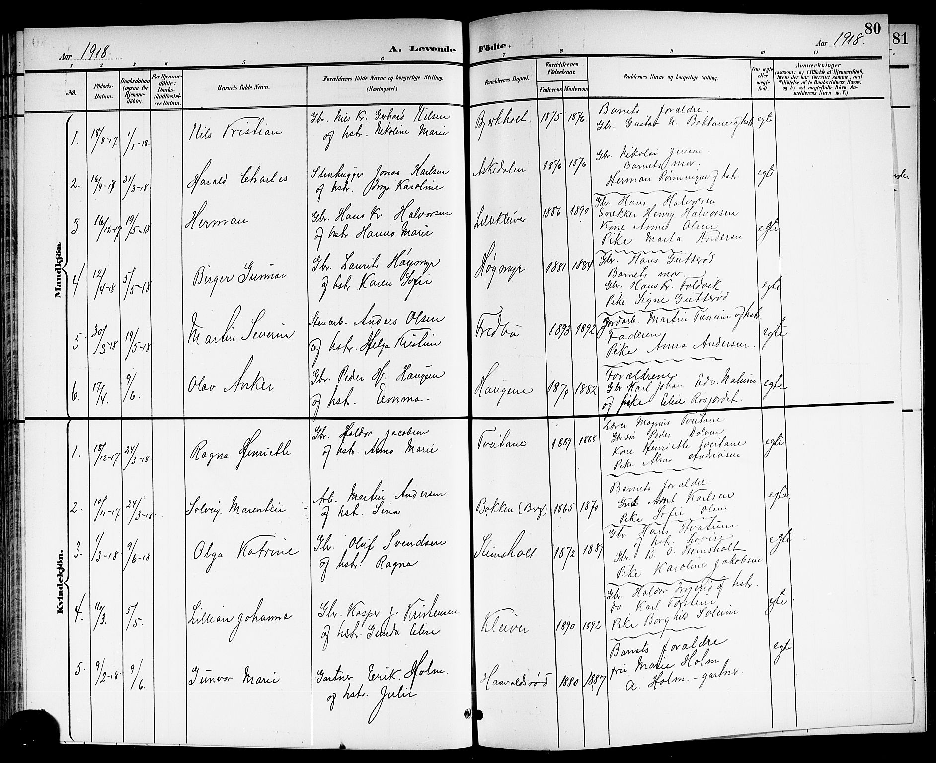 Brunlanes kirkebøker, AV/SAKO-A-342/G/Ga/L0004: Parish register (copy) no. I 4, 1898-1921, p. 80