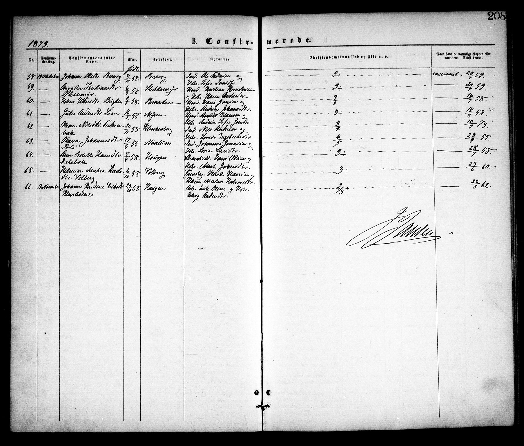 Skjeberg prestekontor Kirkebøker, SAO/A-10923/F/Fa/L0008: Parish register (official) no. I 8, 1869-1885, p. 208
