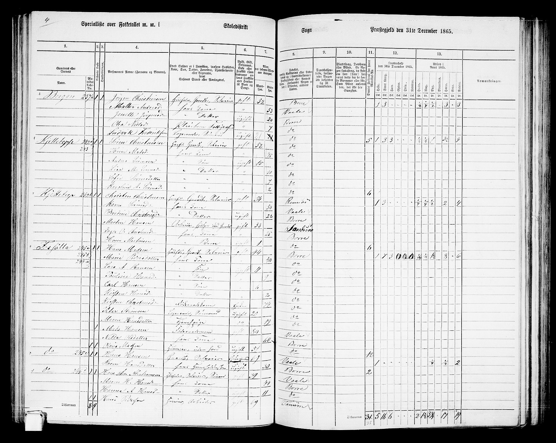 RA, 1865 census for Borre, 1865, p. 137