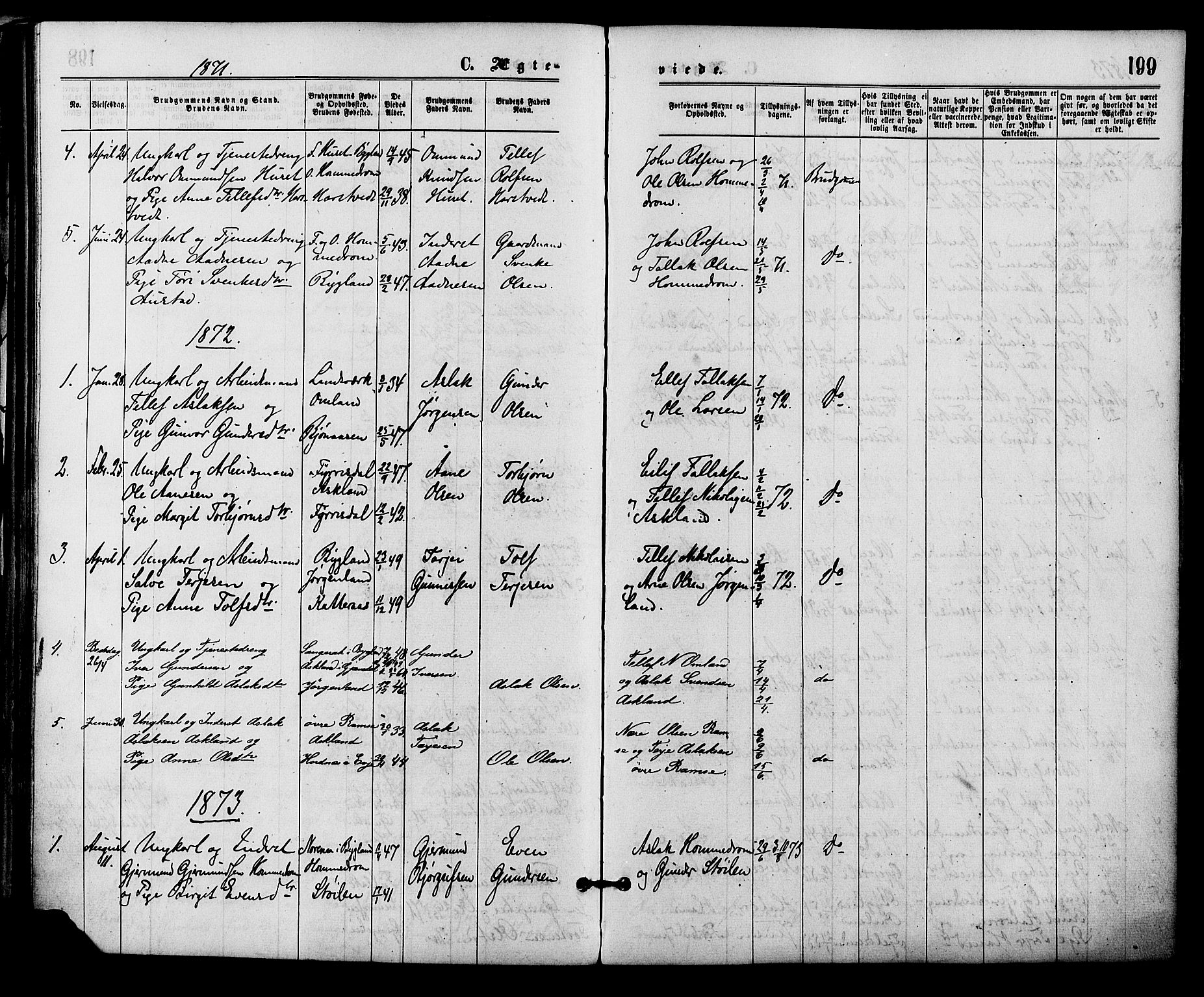 Åmli sokneprestkontor, AV/SAK-1111-0050/F/Fa/Fac/L0009: Parish register (official) no. A 9 /2, 1869-1884, p. 199