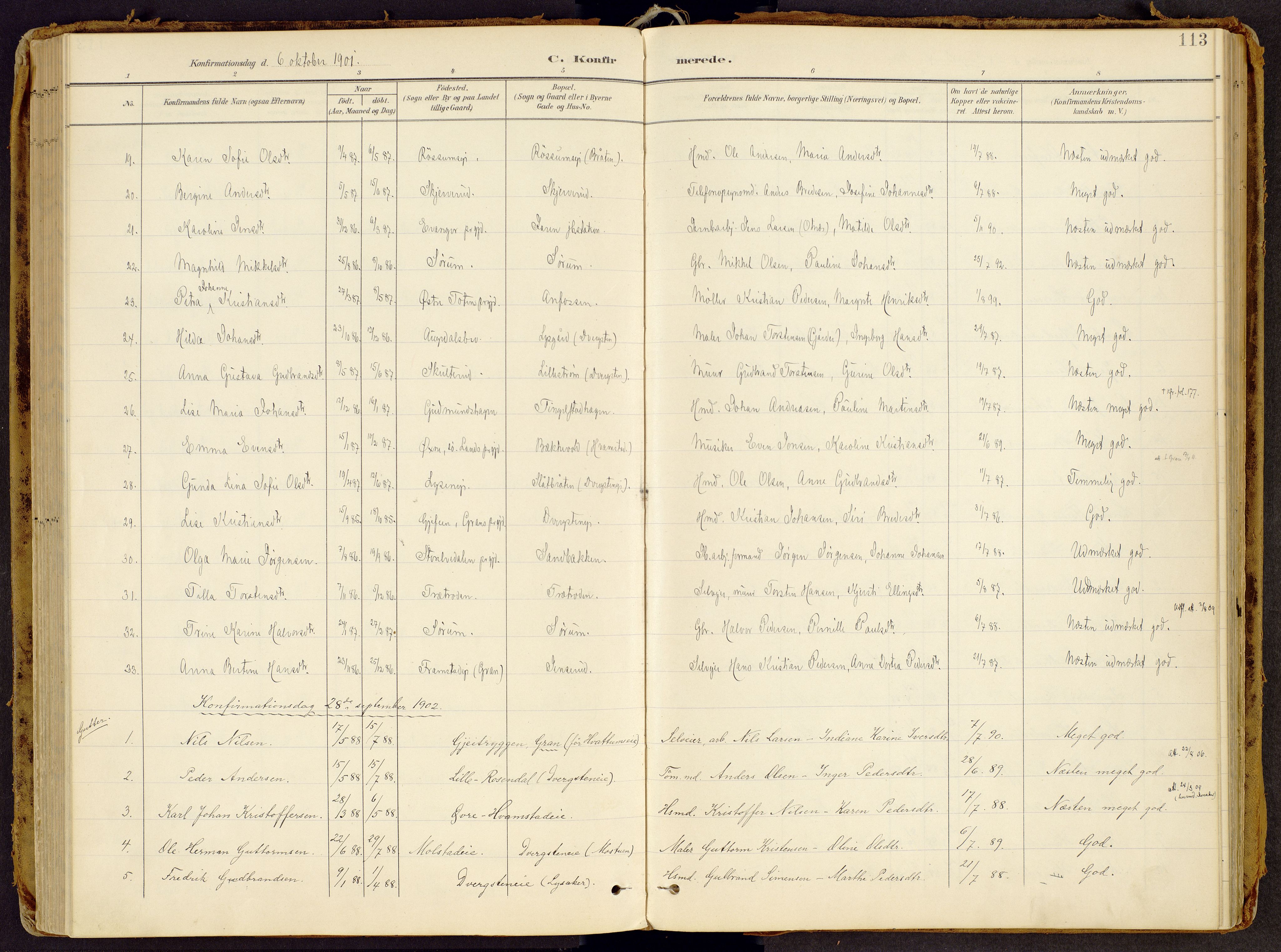 Brandbu prestekontor, SAH/PREST-114/H/Ha/Haa/L0002: Parish register (official) no. 2, 1899-1914, p. 113