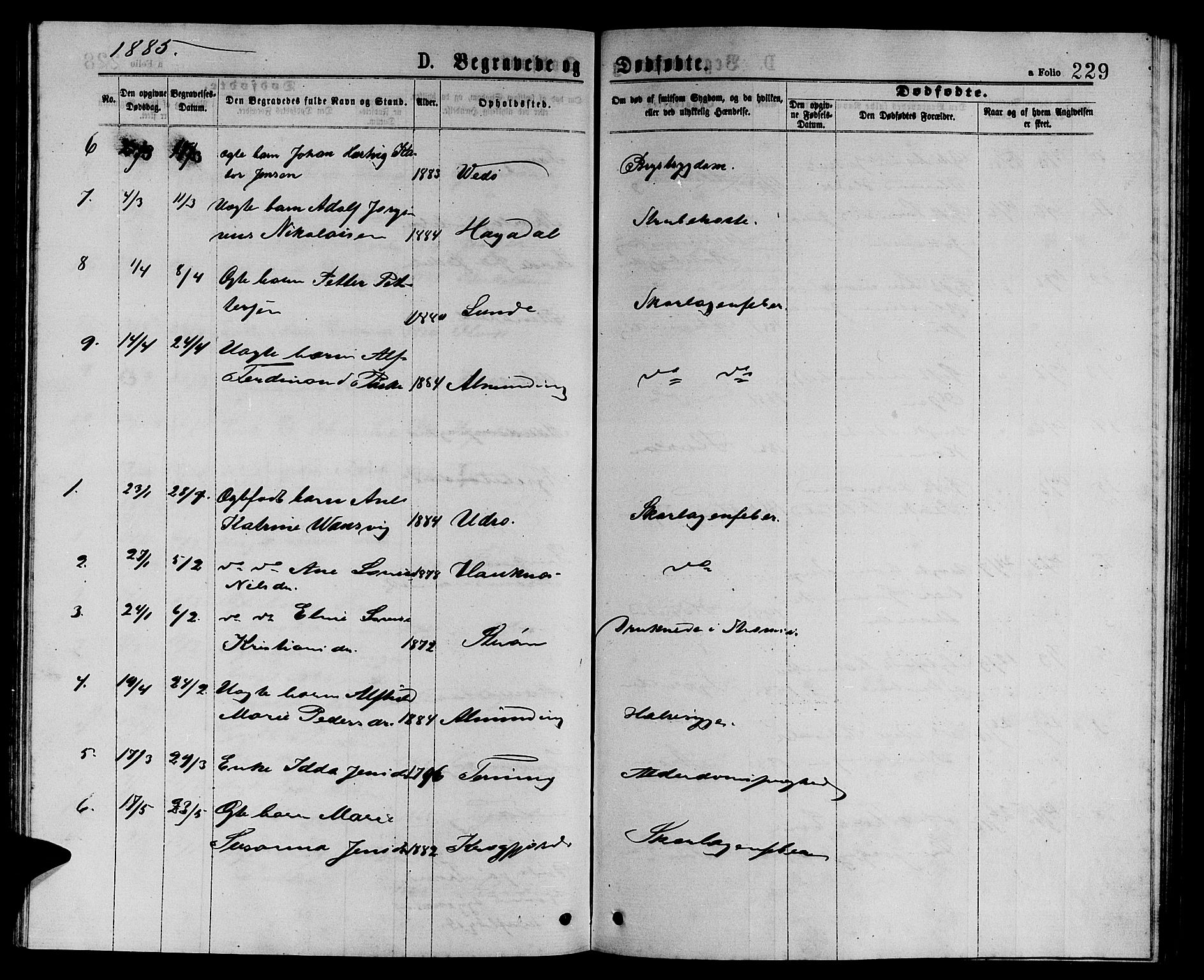Ministerialprotokoller, klokkerbøker og fødselsregistre - Sør-Trøndelag, SAT/A-1456/657/L0715: Parish register (copy) no. 657C02, 1873-1888, p. 229