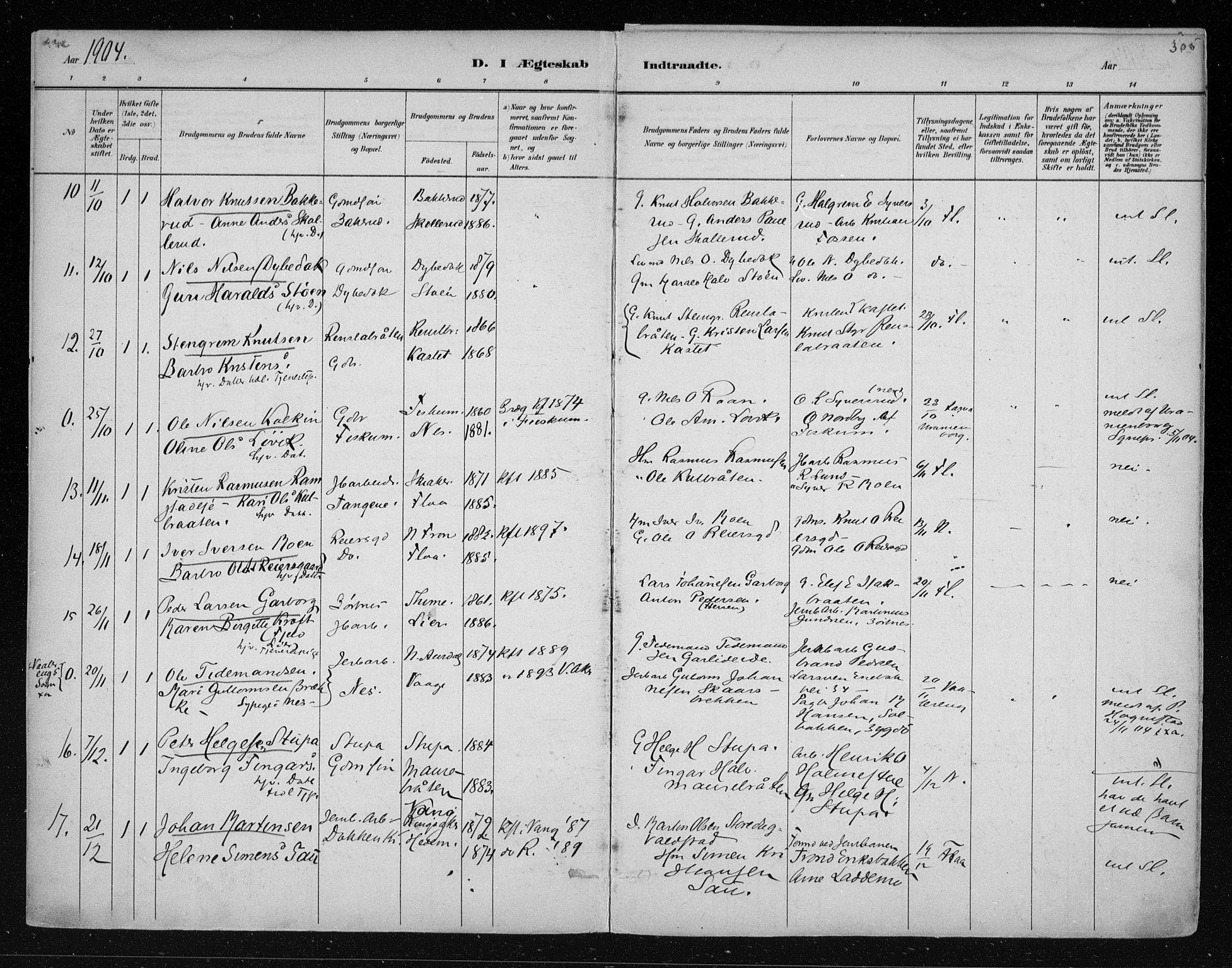 Nes kirkebøker, AV/SAKO-A-236/F/Fa/L0011: Parish register (official) no. 11, 1881-1912, p. 305