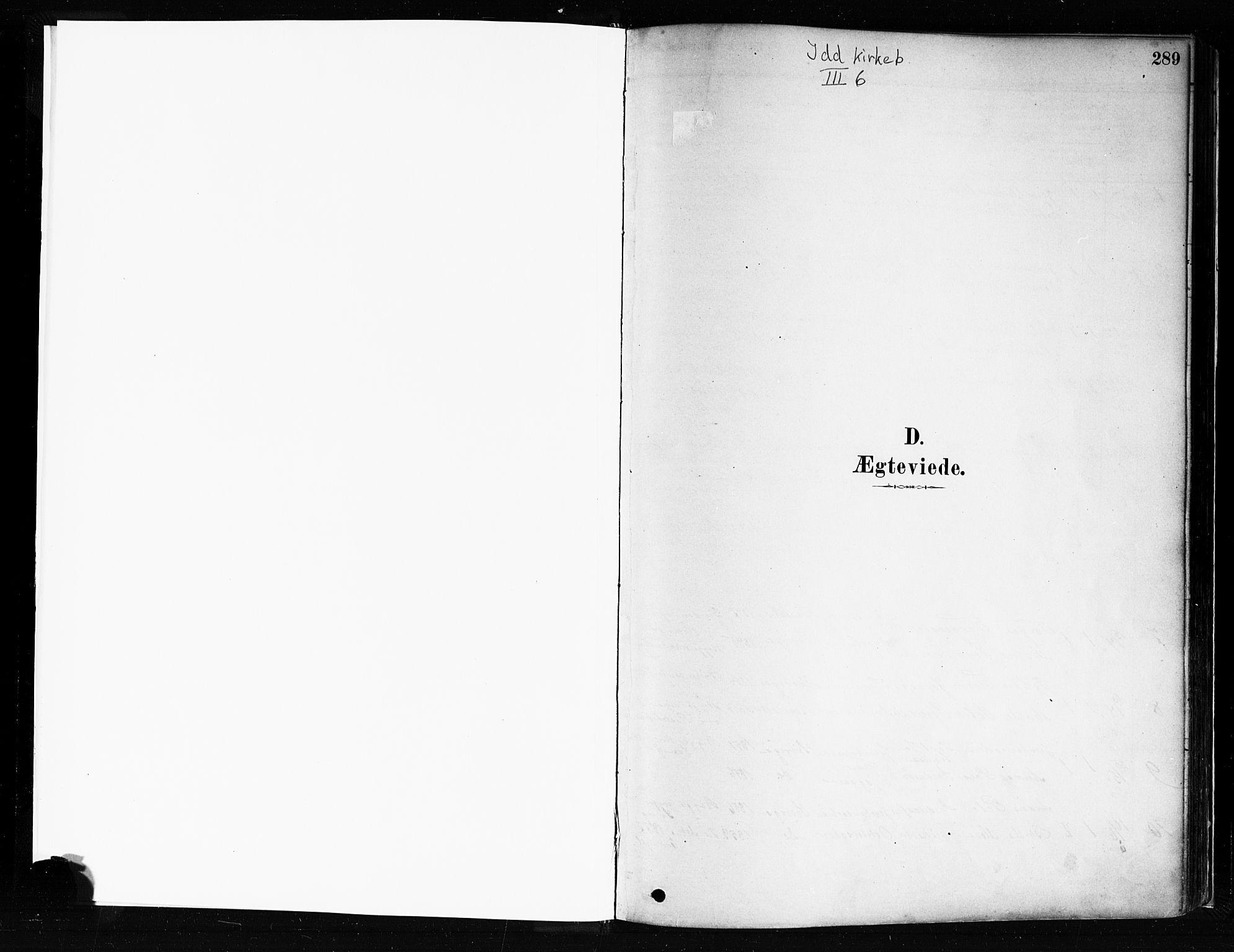 Idd prestekontor Kirkebøker, SAO/A-10911/F/Fc/L0006b: Parish register (official) no. III 6B, 1878-1903, p. 289
