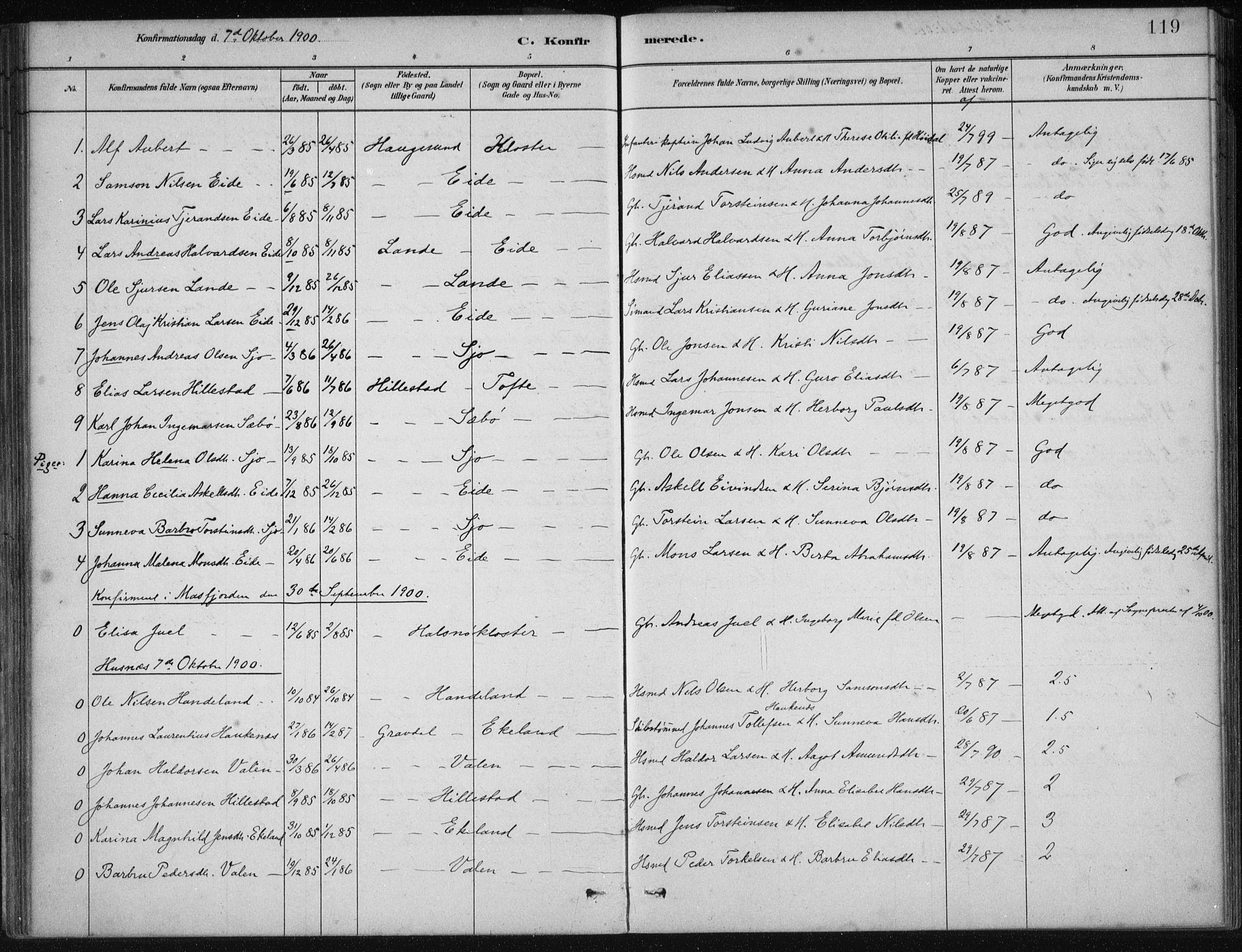 Fjelberg sokneprestembete, AV/SAB-A-75201/H/Haa: Parish register (official) no. C  1, 1879-1918, p. 119