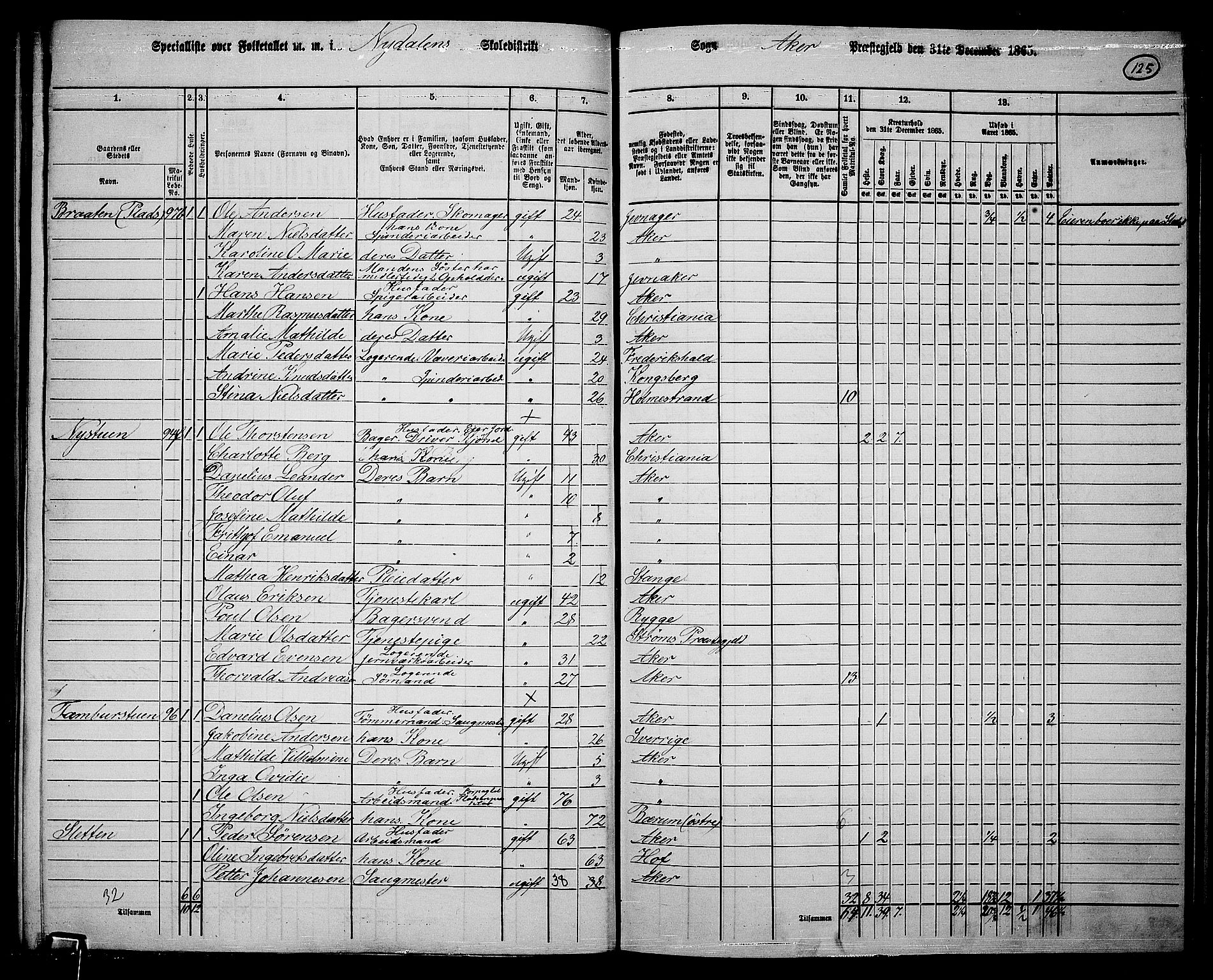 RA, 1865 census for Vestre Aker, 1865, p. 113