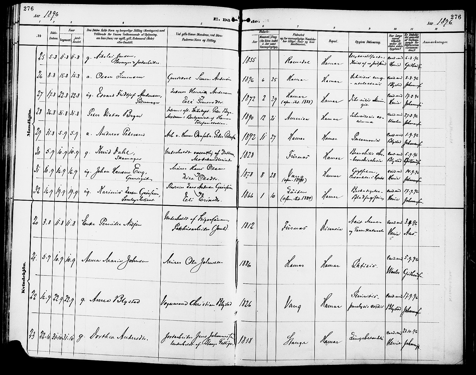 Vang prestekontor, Hedmark, SAH/PREST-008/H/Ha/Haa/L0017: Parish register (official) no. 17, 1890-1899, p. 276