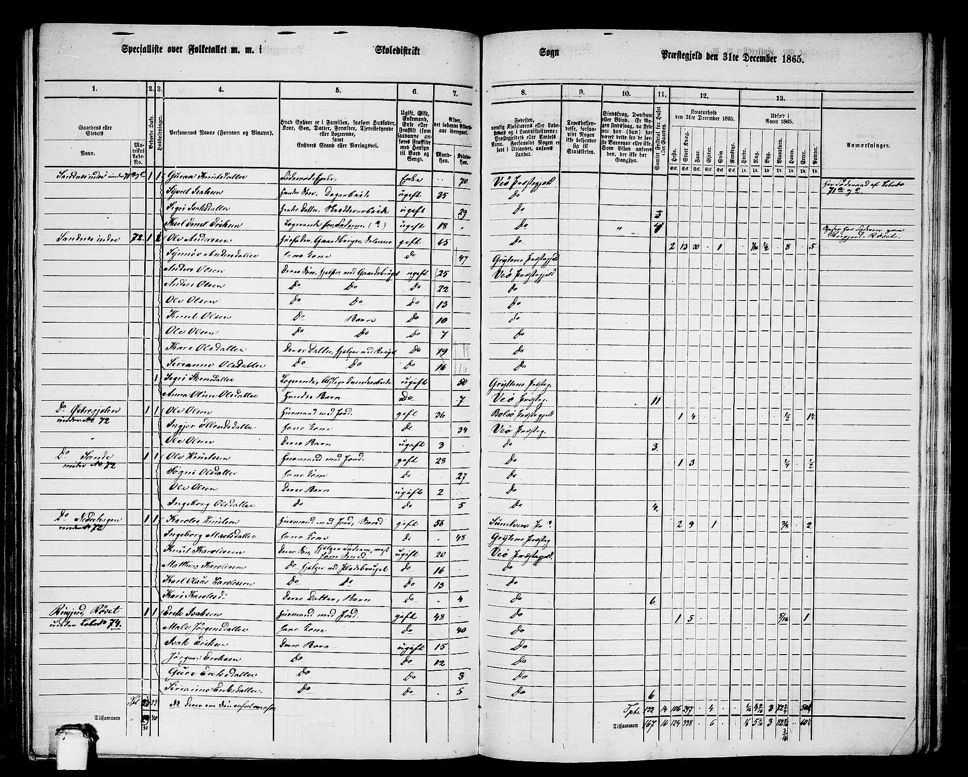 RA, 1865 census for Veøy, 1865, p. 51