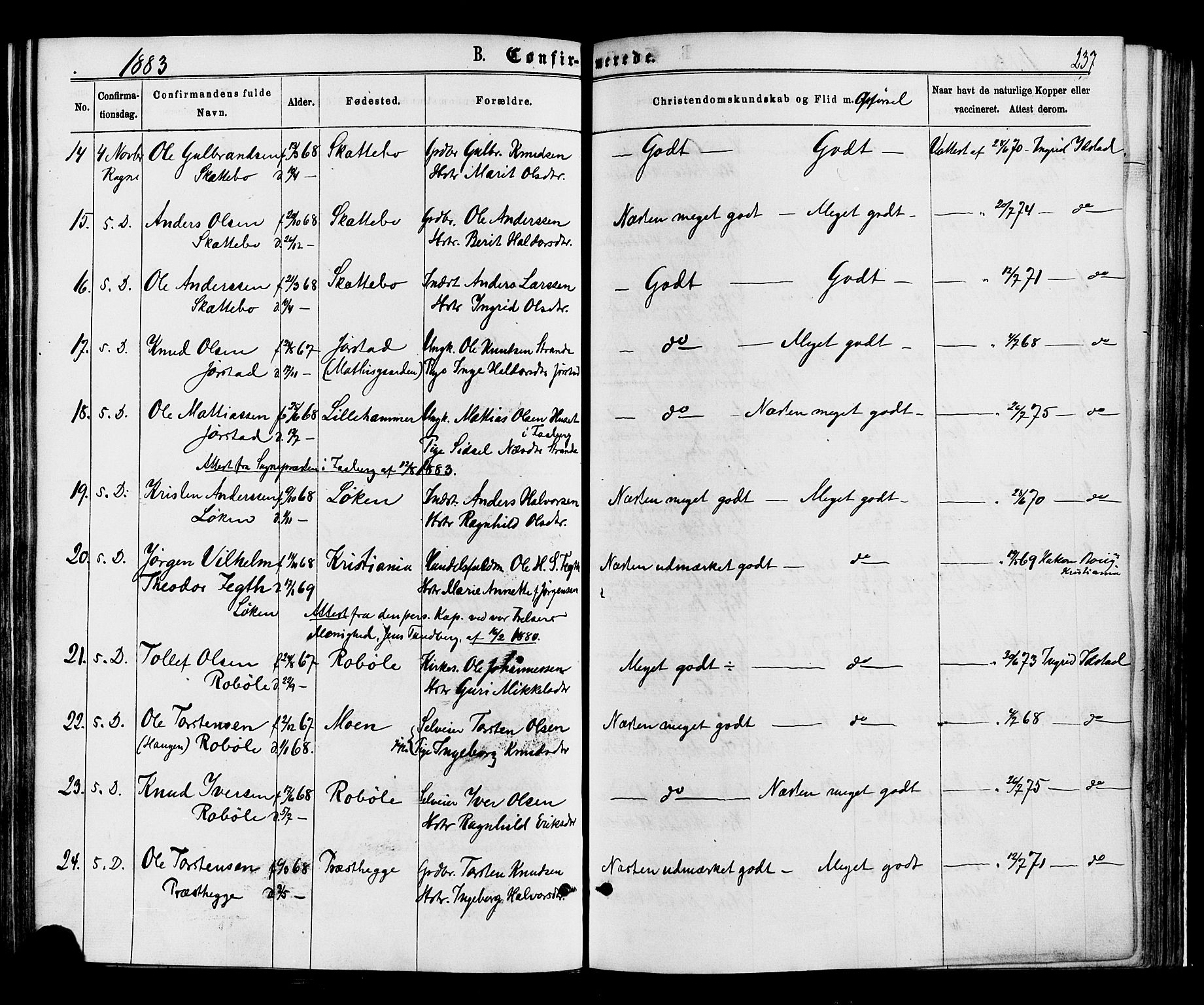 Øystre Slidre prestekontor, SAH/PREST-138/H/Ha/Haa/L0002: Parish register (official) no. 2, 1874-1886, p. 237