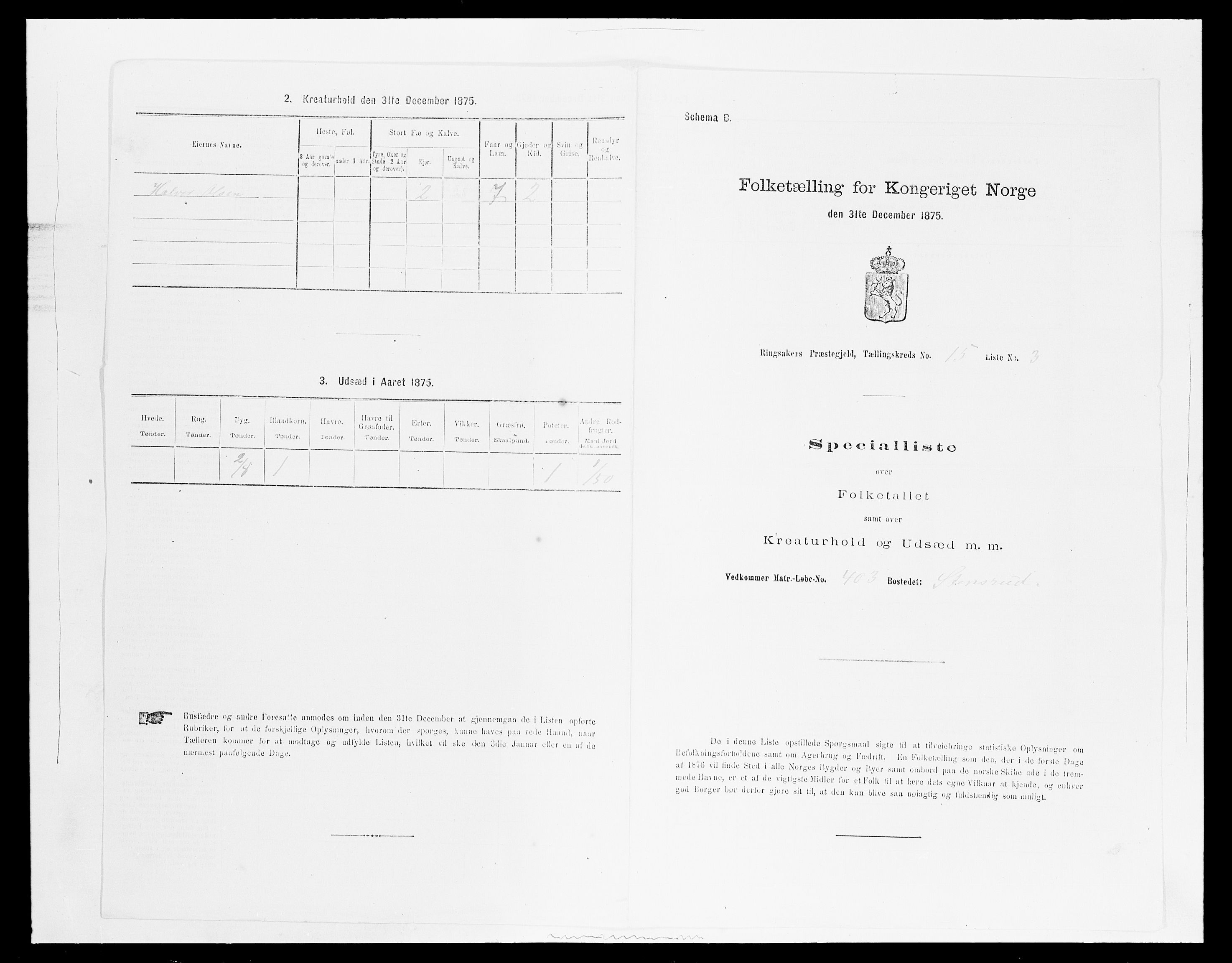 SAH, 1875 census for 0412P Ringsaker, 1875, p. 3146