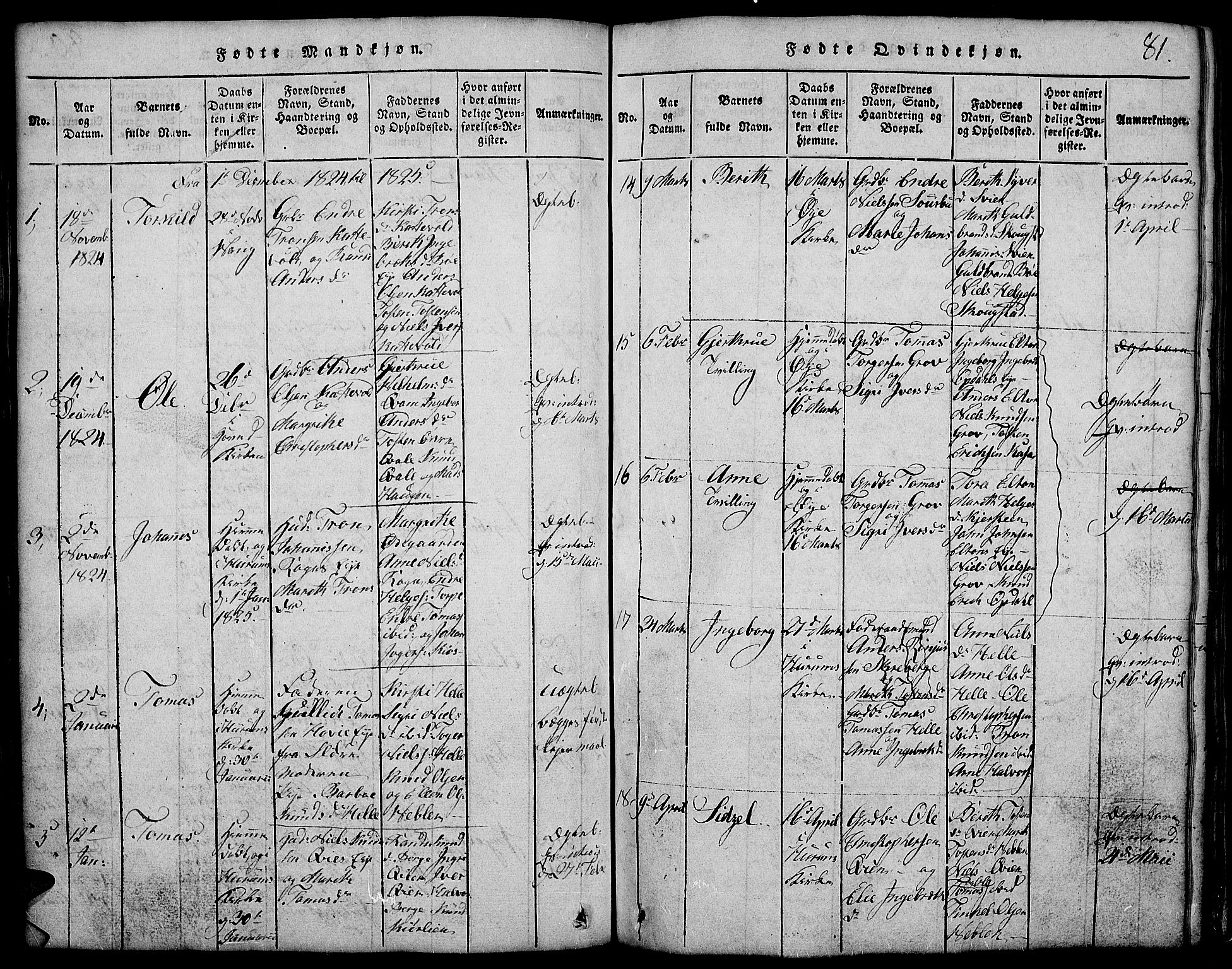 Vang prestekontor, Valdres, SAH/PREST-140/H/Hb/L0002: Parish register (copy) no. 2, 1814-1889, p. 81