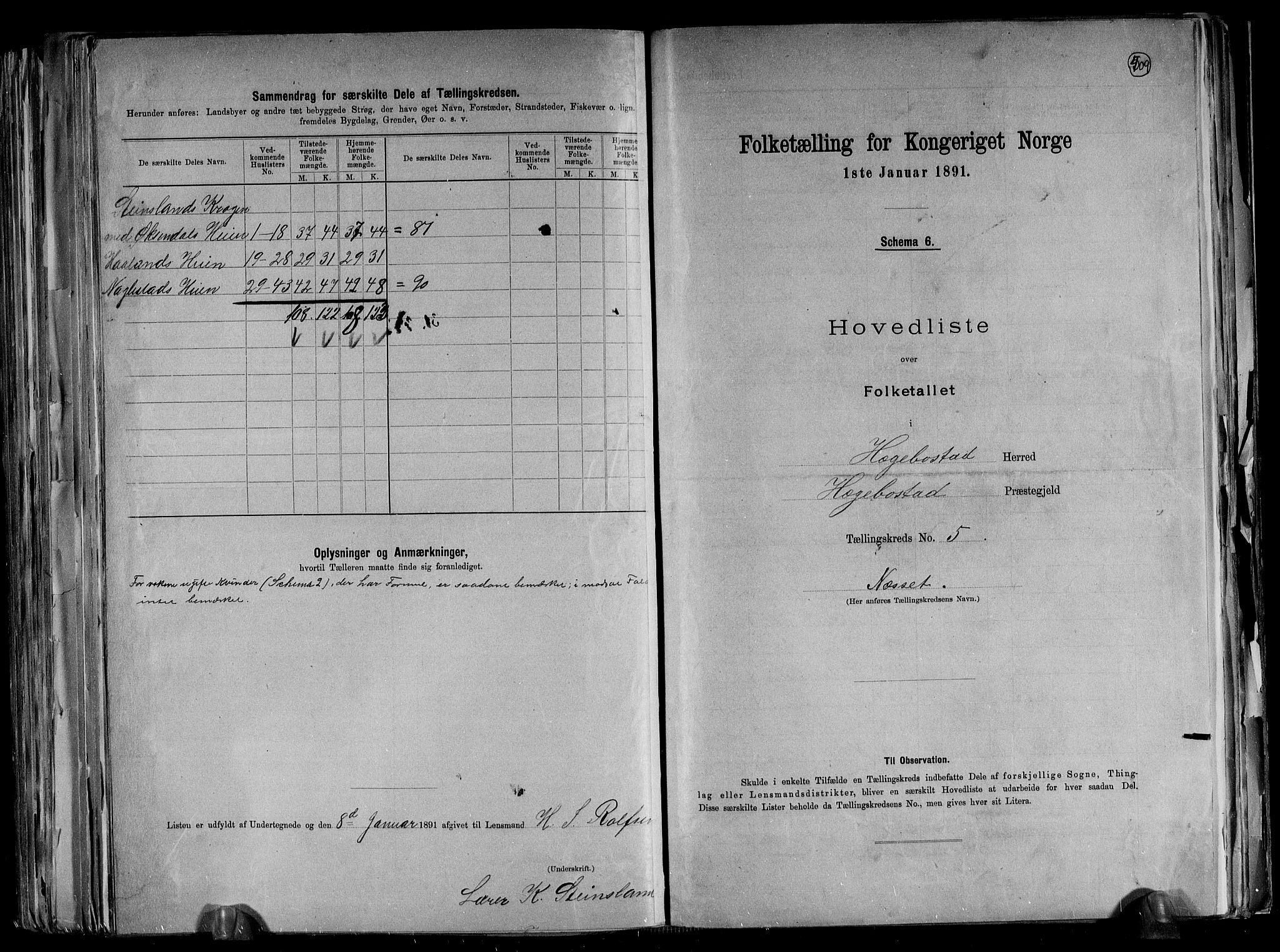 RA, 1891 census for 1034 Hægebostad, 1891, p. 13