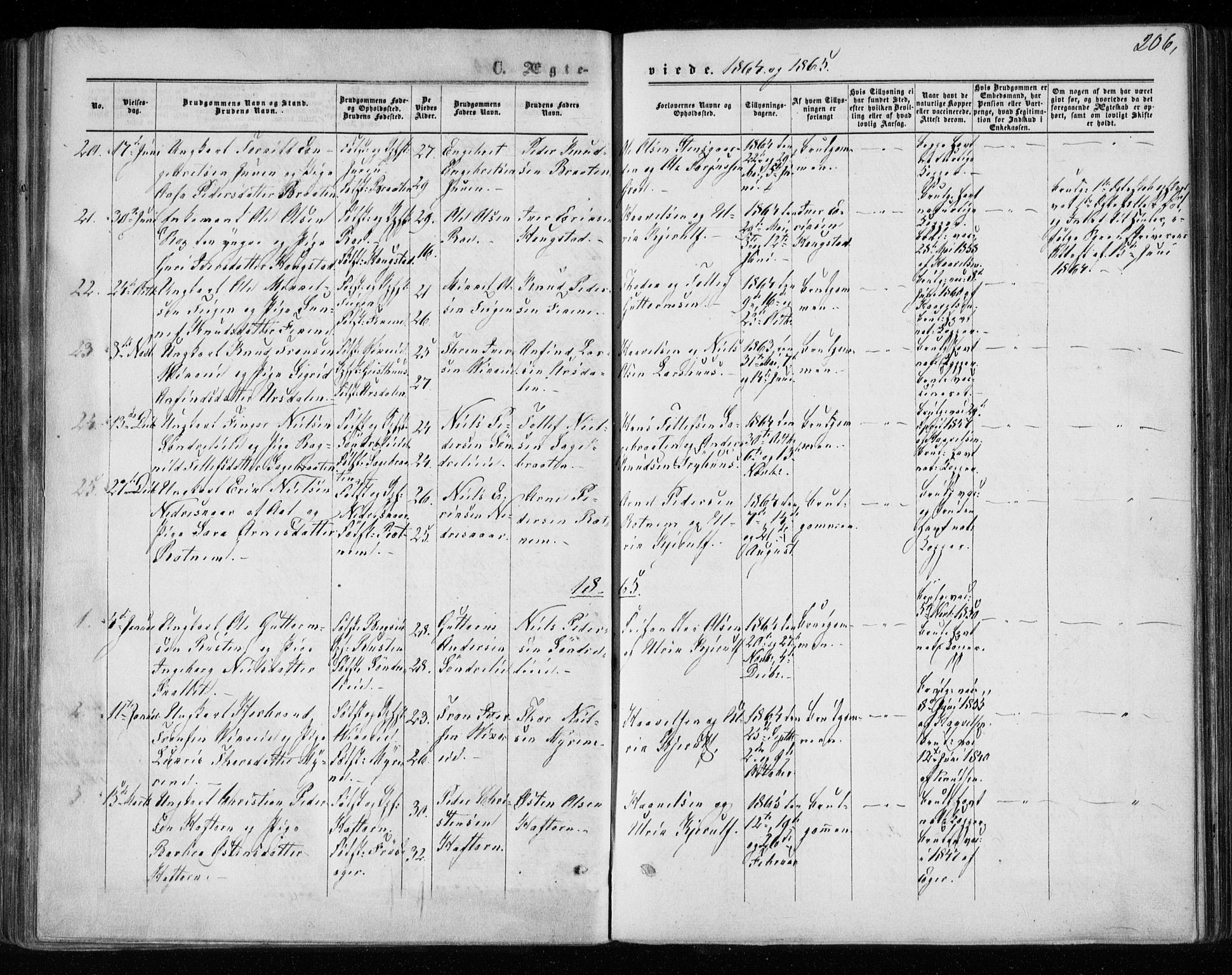 Gol kirkebøker, SAKO/A-226/F/Fa/L0003: Parish register (official) no. I 3, 1863-1875, p. 206