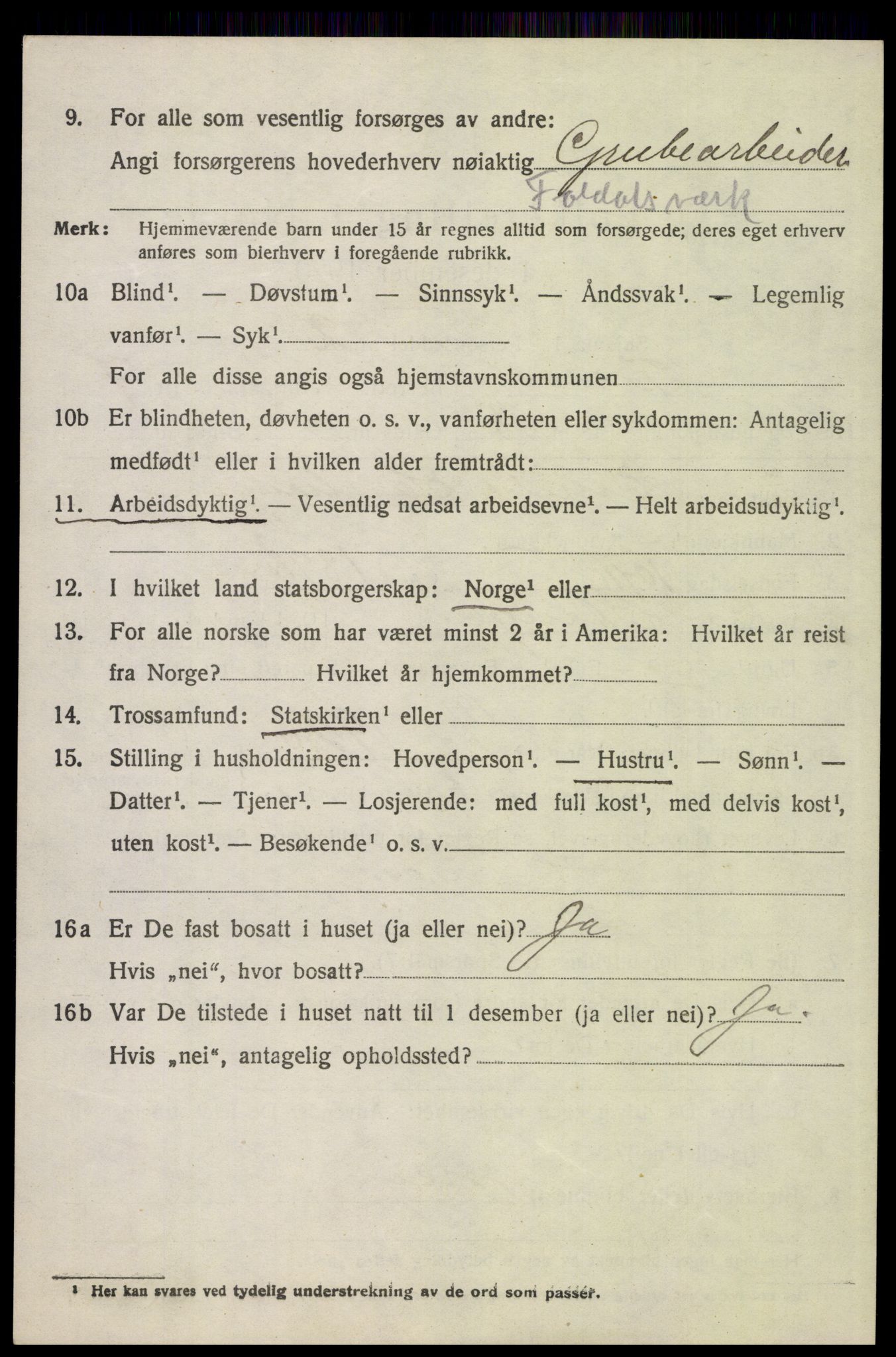 SAH, 1920 census for Folldal, 1920, p. 4336