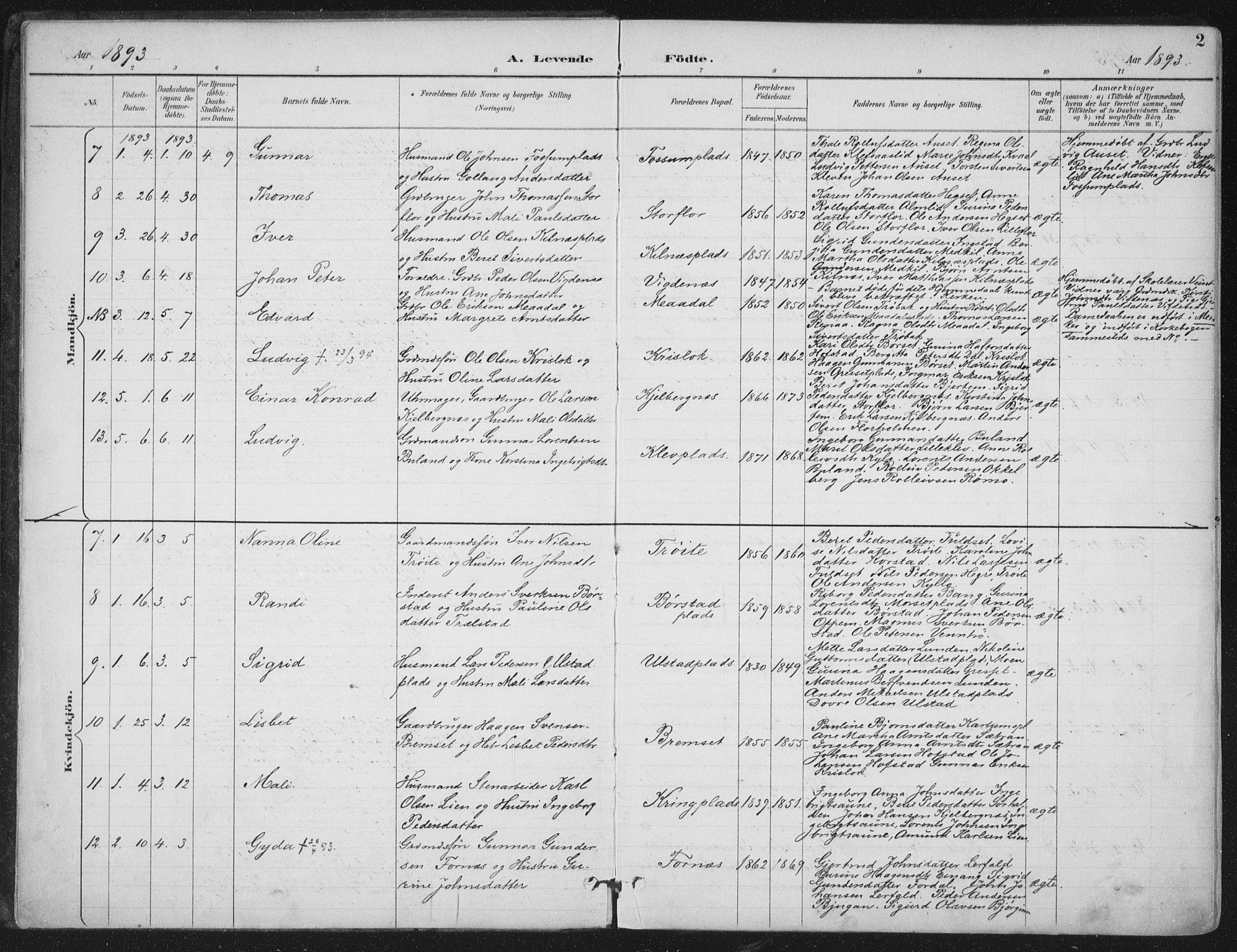 Ministerialprotokoller, klokkerbøker og fødselsregistre - Nord-Trøndelag, SAT/A-1458/703/L0031: Parish register (official) no. 703A04, 1893-1914, p. 2