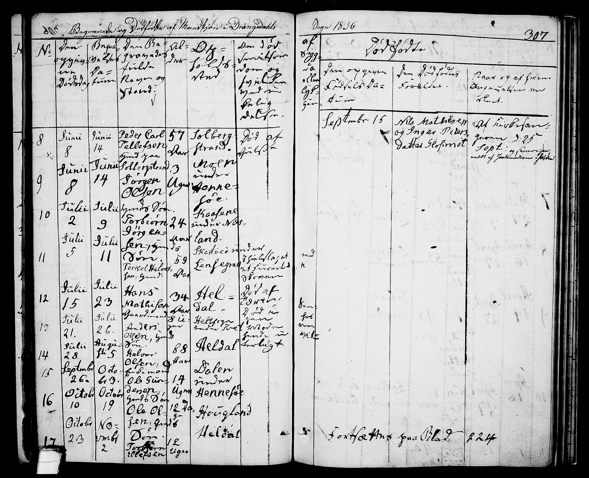 Drangedal kirkebøker, AV/SAKO-A-258/F/Fa/L0006: Parish register (official) no. 6, 1831-1837, p. 307