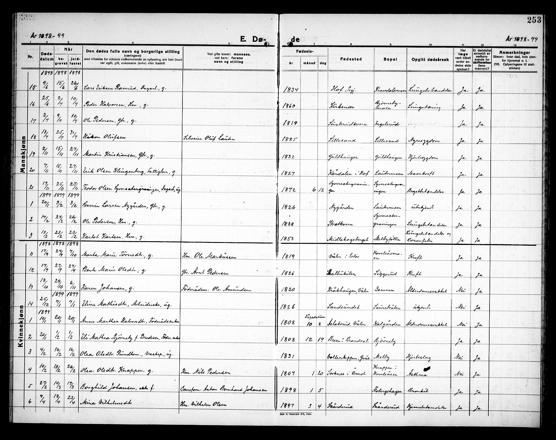 Åsnes prestekontor, SAH/PREST-042/H/Ha/Haa/L0000C: Parish register (official) no. 0A, 1890-1929, p. 253