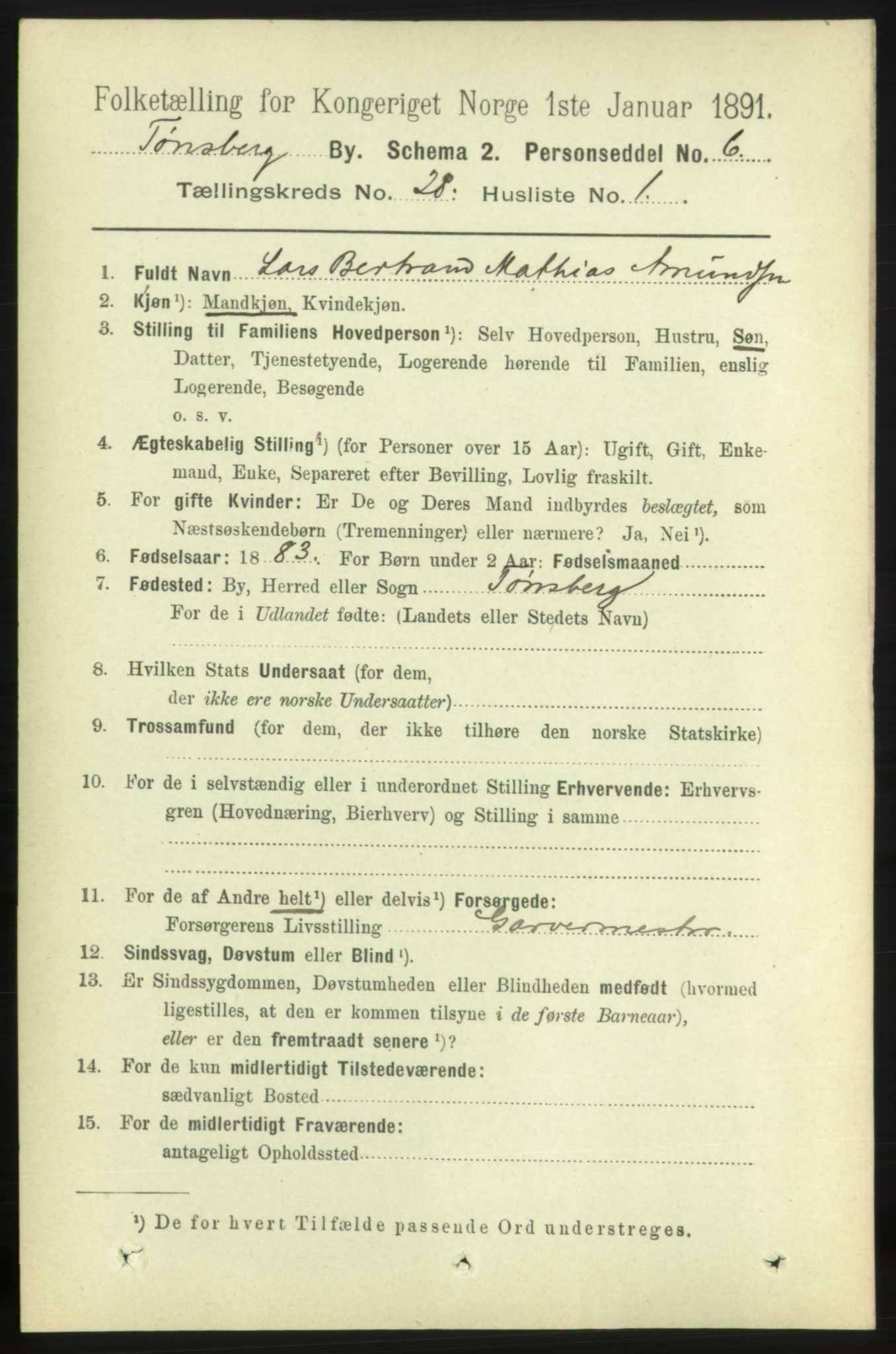 RA, 1891 census for 0705 Tønsberg, 1891, p. 6919